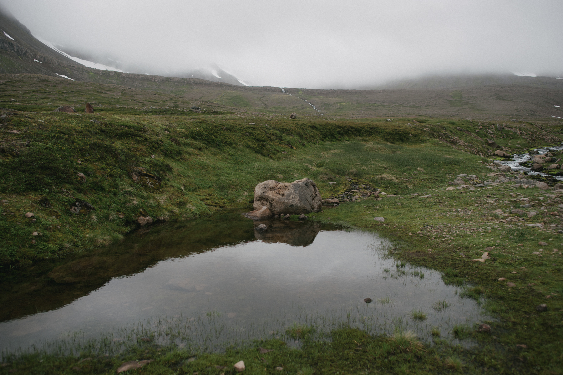 Daring Wanderer Photography - Daring Wanderer - Iceland travel photography - Iceland - West Fjords - Hornstrandir - Hornbjarg - hiking - adventure - explore - camping - mountains - majestic landscapes - Icelandic horses - Icelandic landscape