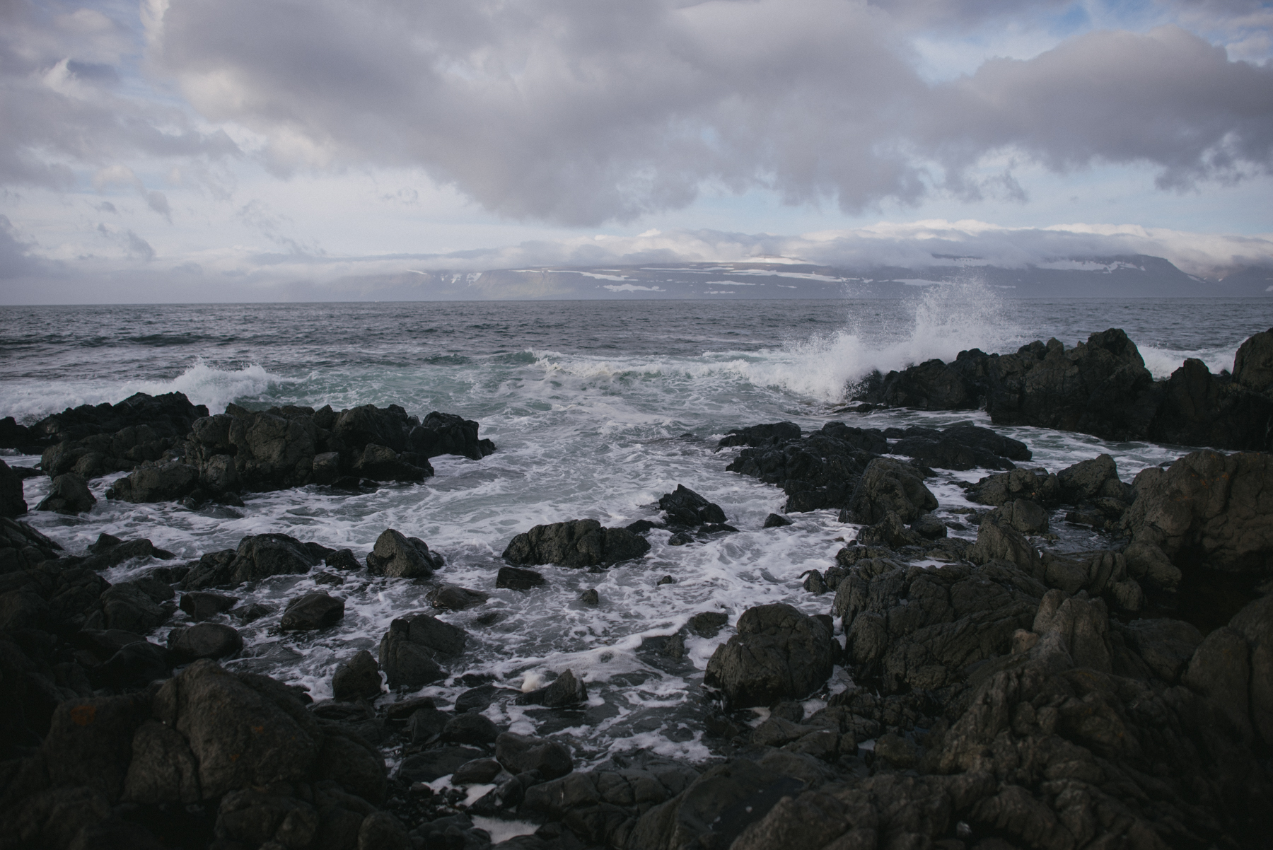 Daring Wanderer Photography - Daring Wanderer - Iceland travel photography - Iceland - West Fjords - Hornstrandir - Hornbjarg - hiking - adventure - explore - camping - mountains - majestic landscapes - Icelandic horses - Icelandic landscape