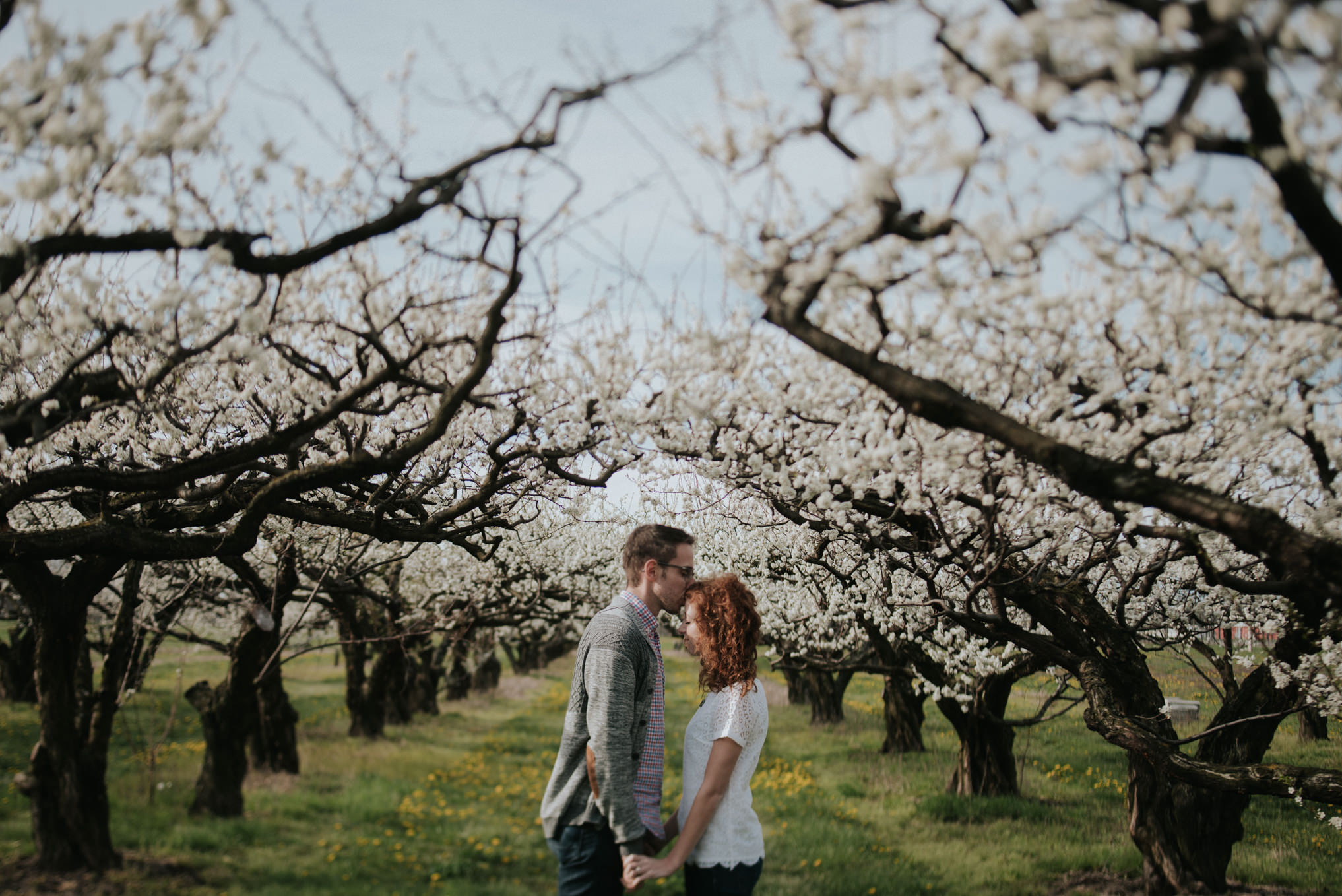 Spring bloom orchard engagement shoot by Daring Wanderer // www.daringwanderer.com