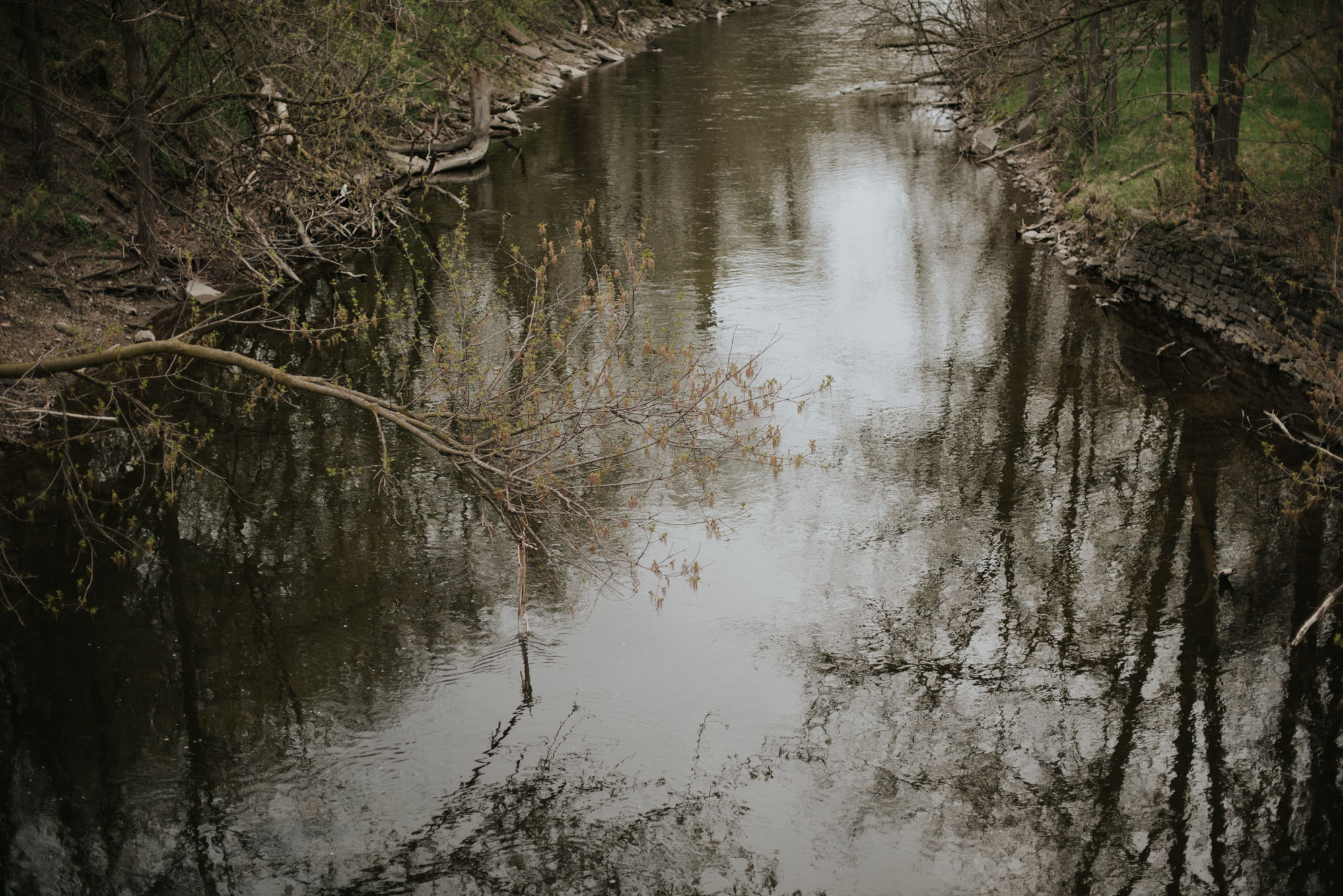 Intimate Goldie Mill Wedding // Daring Wanderer: www.daringwanderer.com