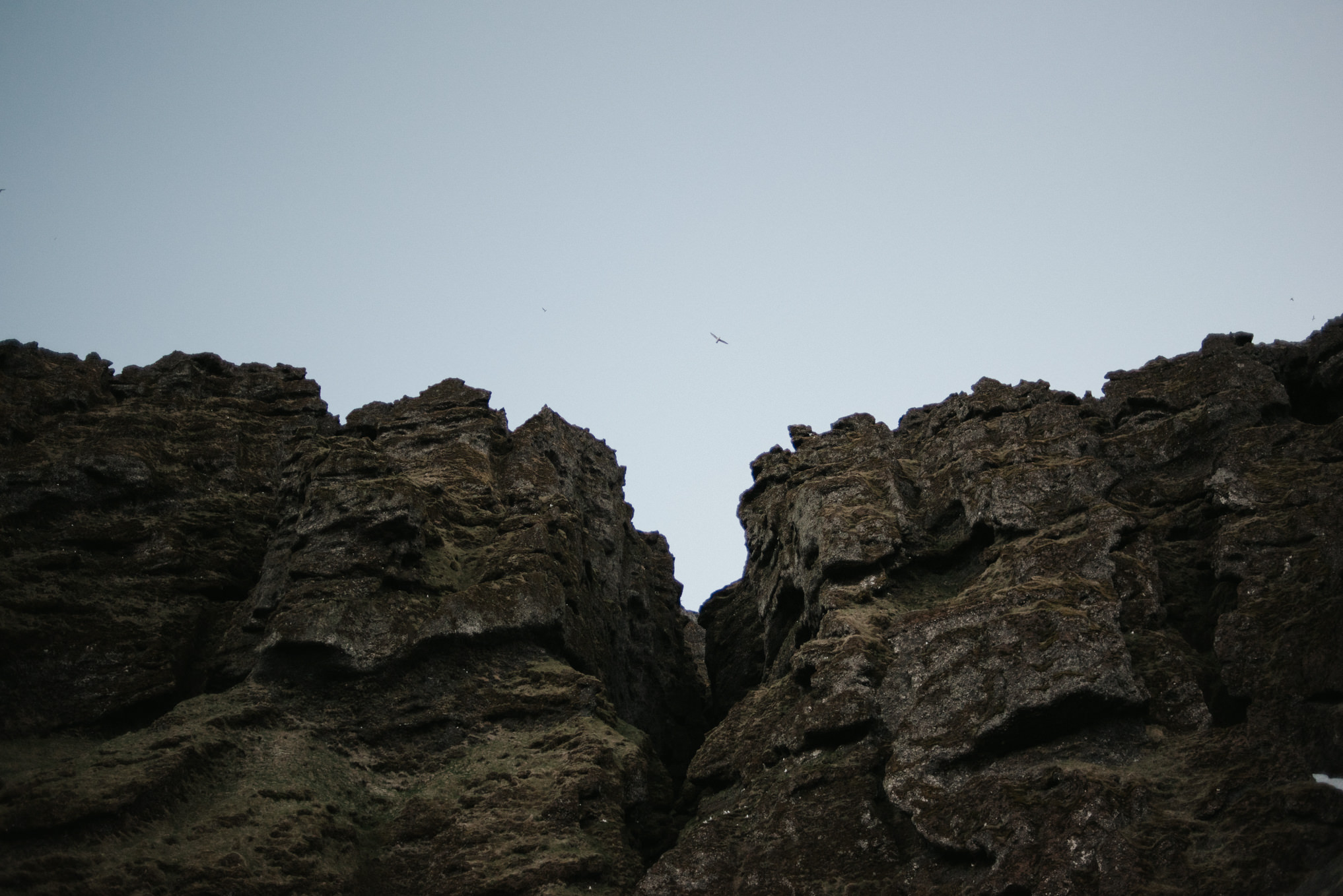 Texans Elope in Iceland: Dreamy Icelandic Midnight Sun Wedding // Daring Wanderer: www.daringwanderer.com