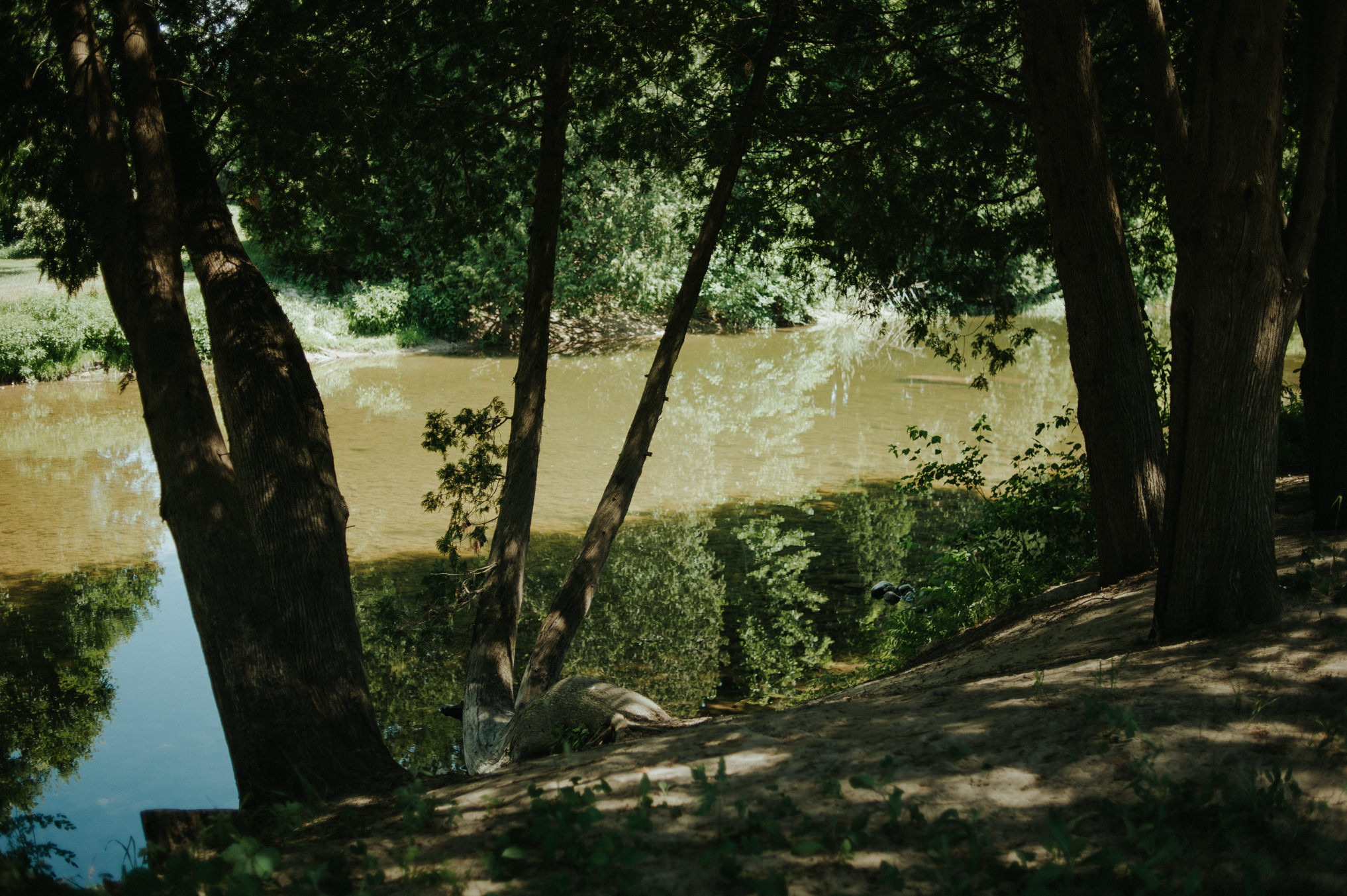 A dreamy femme babe same sex forest wedding at Riverstone Retreat // Daring Wanderer: www.daringwanderer.com