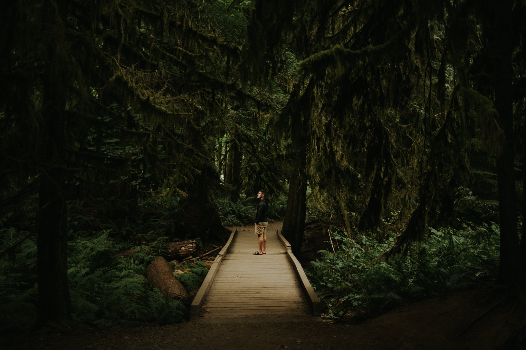 Cathedral Grove, Tofino // Daring Wanderer: www.daringwanderer.com