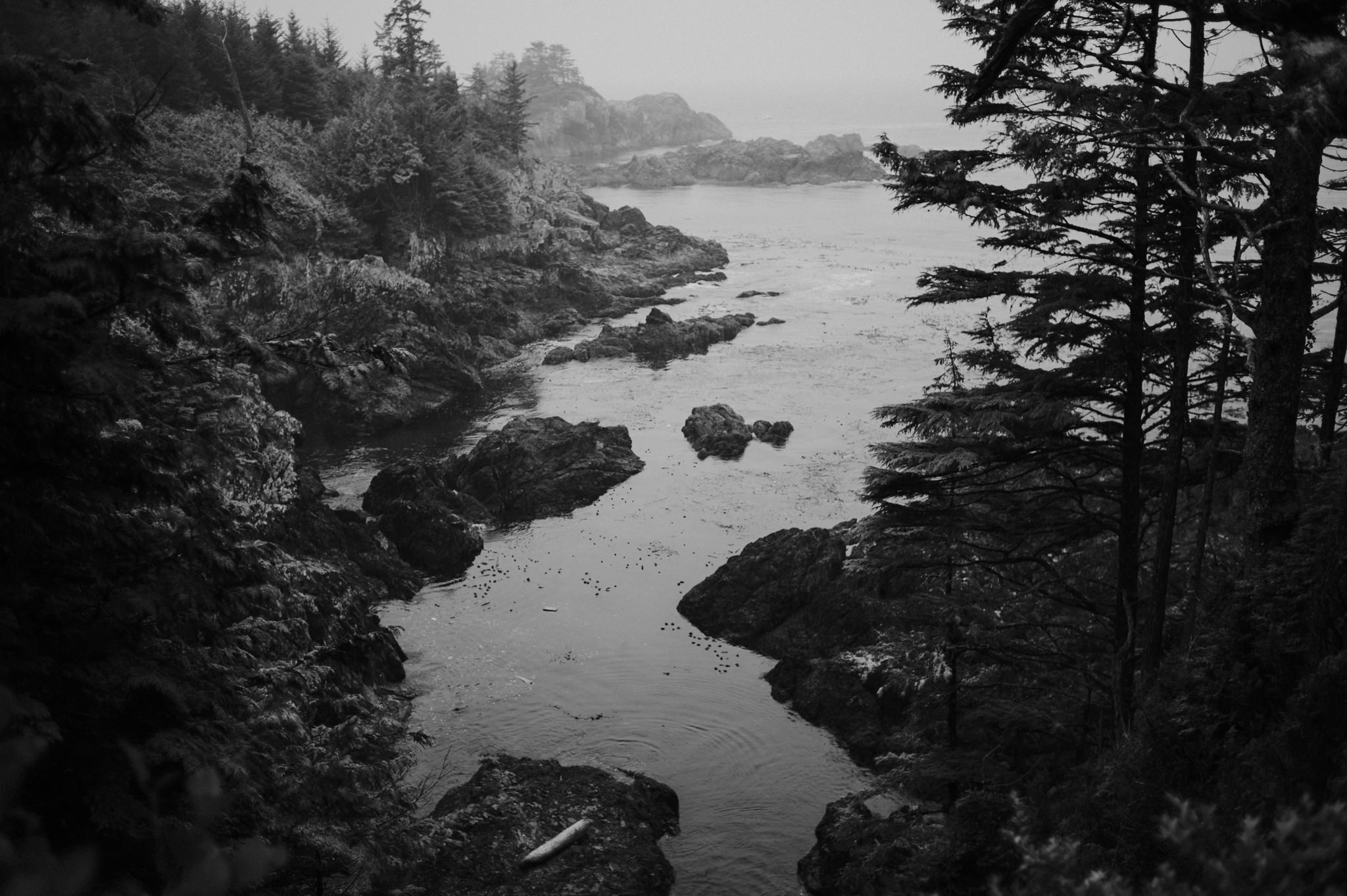 Hiking the Wild Pacific Trail in Ucluelet, BC // Daring Wanderer: www.daringwanderer.com