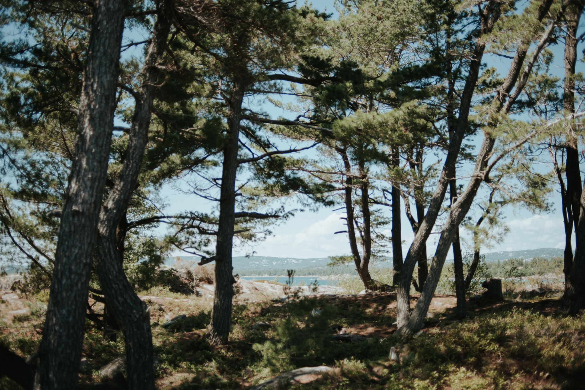 Camping at Philip Edward Island on Georgian Bay // Daring Wanderer: www.daringwanderer.com