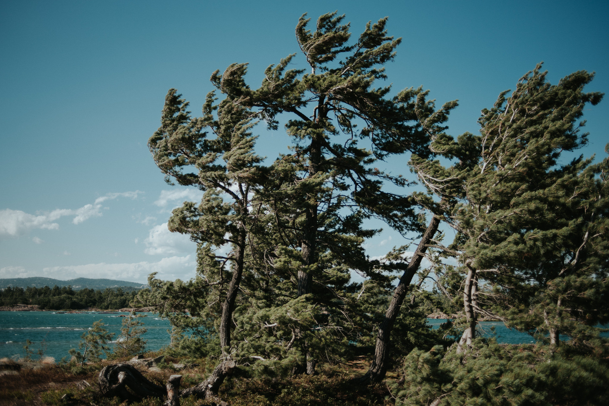 Camping at Philip Edward Island on Georgian Bay // Daring Wanderer: www.daringwanderer.com