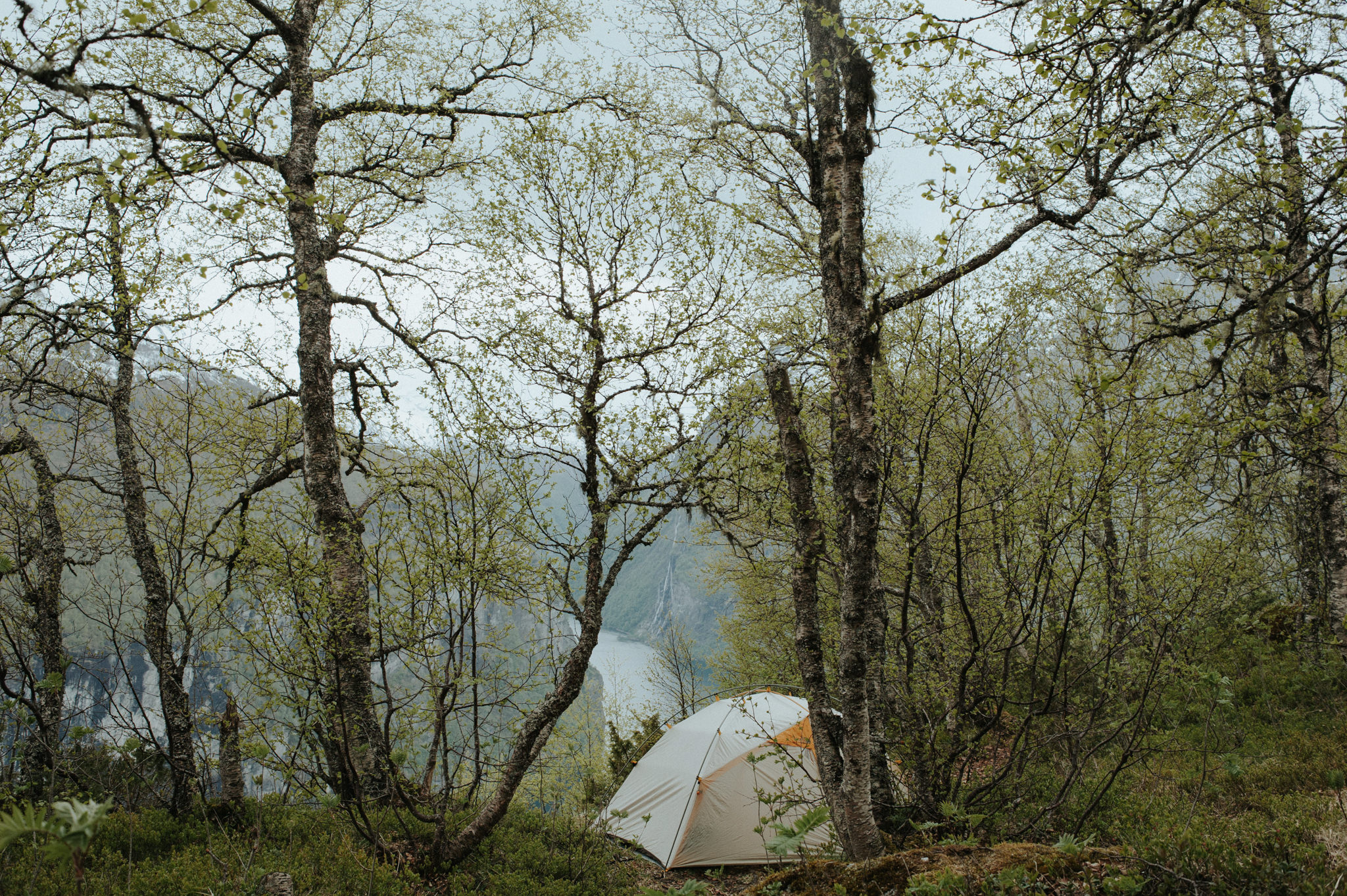 Camping in Geirangerfjord, Norway // Daring Wanderer: www.daringwanderer.com