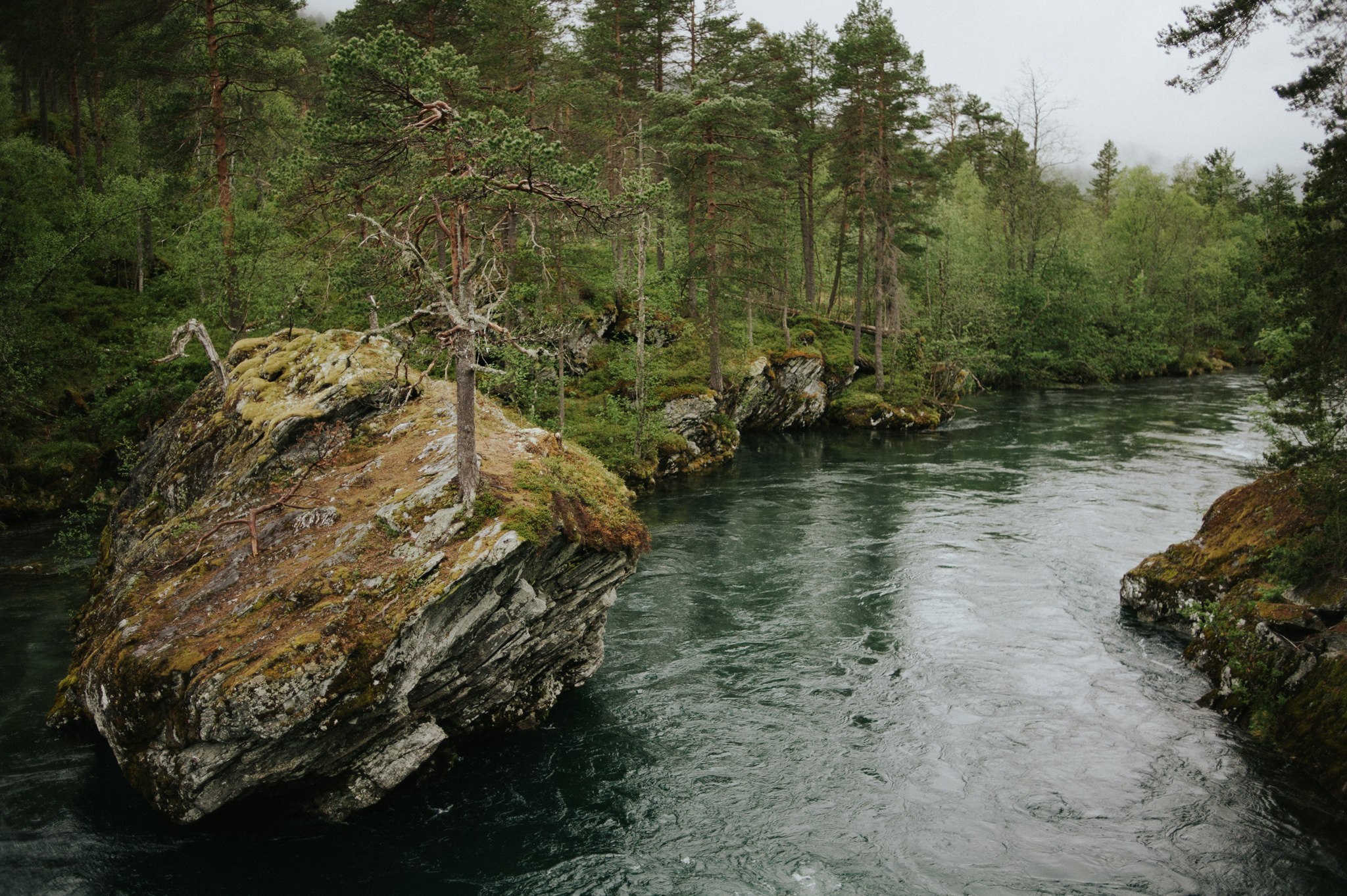 Juvet Landscape Hotel, Norway // Daring Wanderer: www.daringwanderer.com