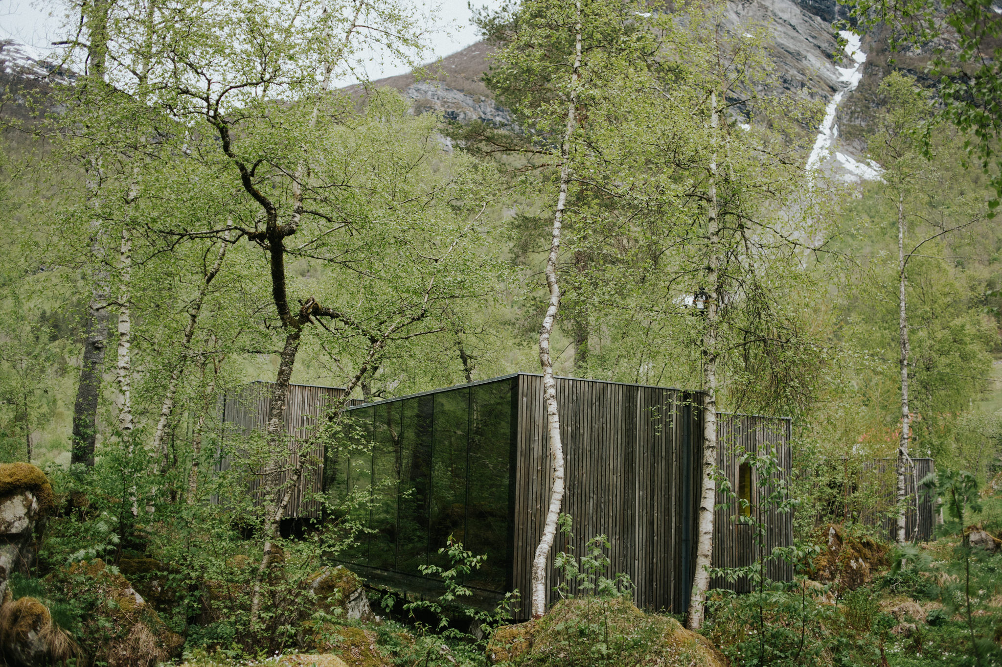 Juvet Landscape Hotel, Norway // Daring Wanderer: www.daringwanderer.com