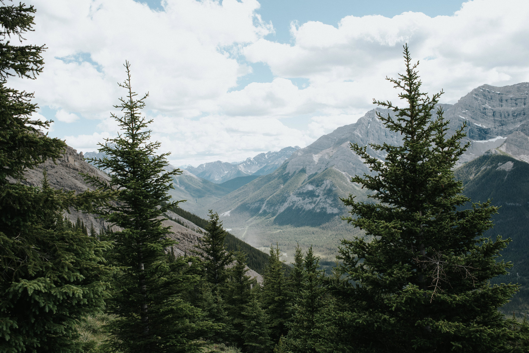 Hiking Ha Ling Peak in Canmore // Daring Wanderer: www.daringwanderer.com