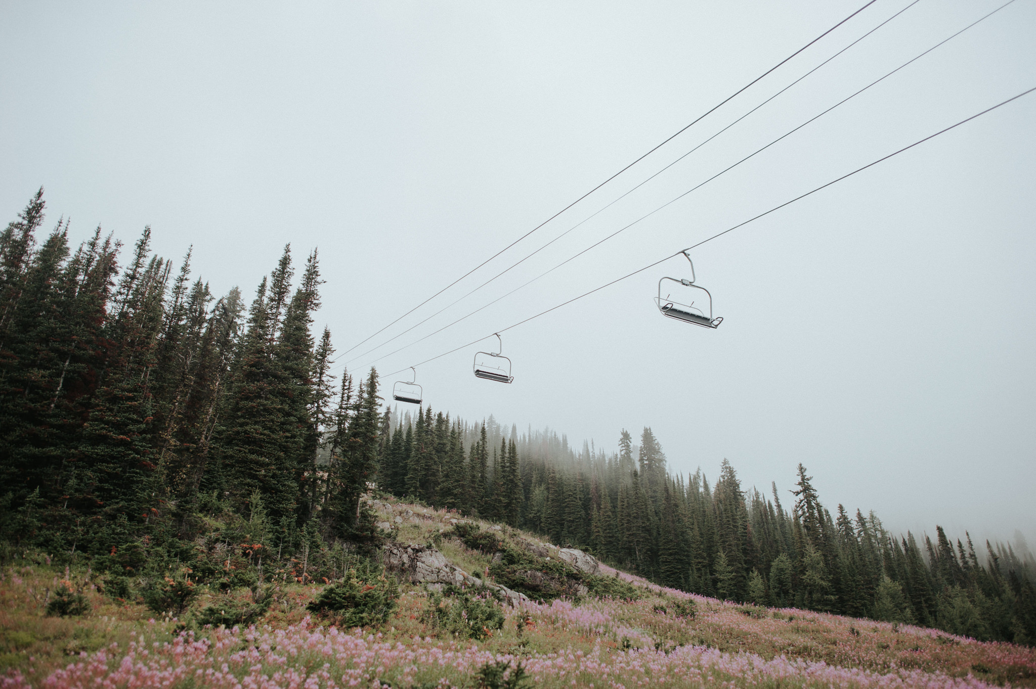 Hiking Sunshine Valley ski area // Daring Wanderer: www.daringwanderer.com