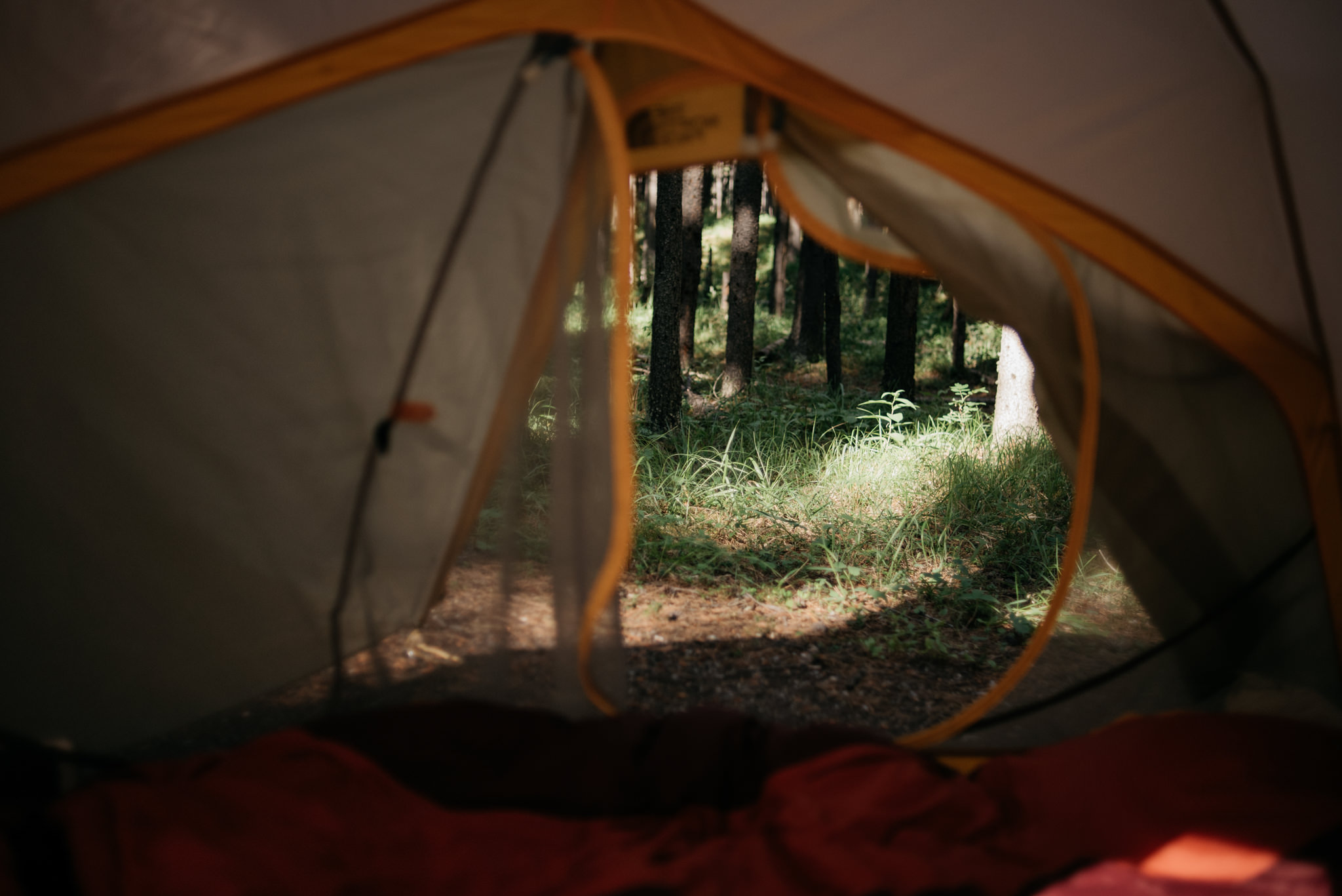 Camping at Two Jack Lake campground in Banff National Park // Daring Wanderer: www.daringwanderer.com