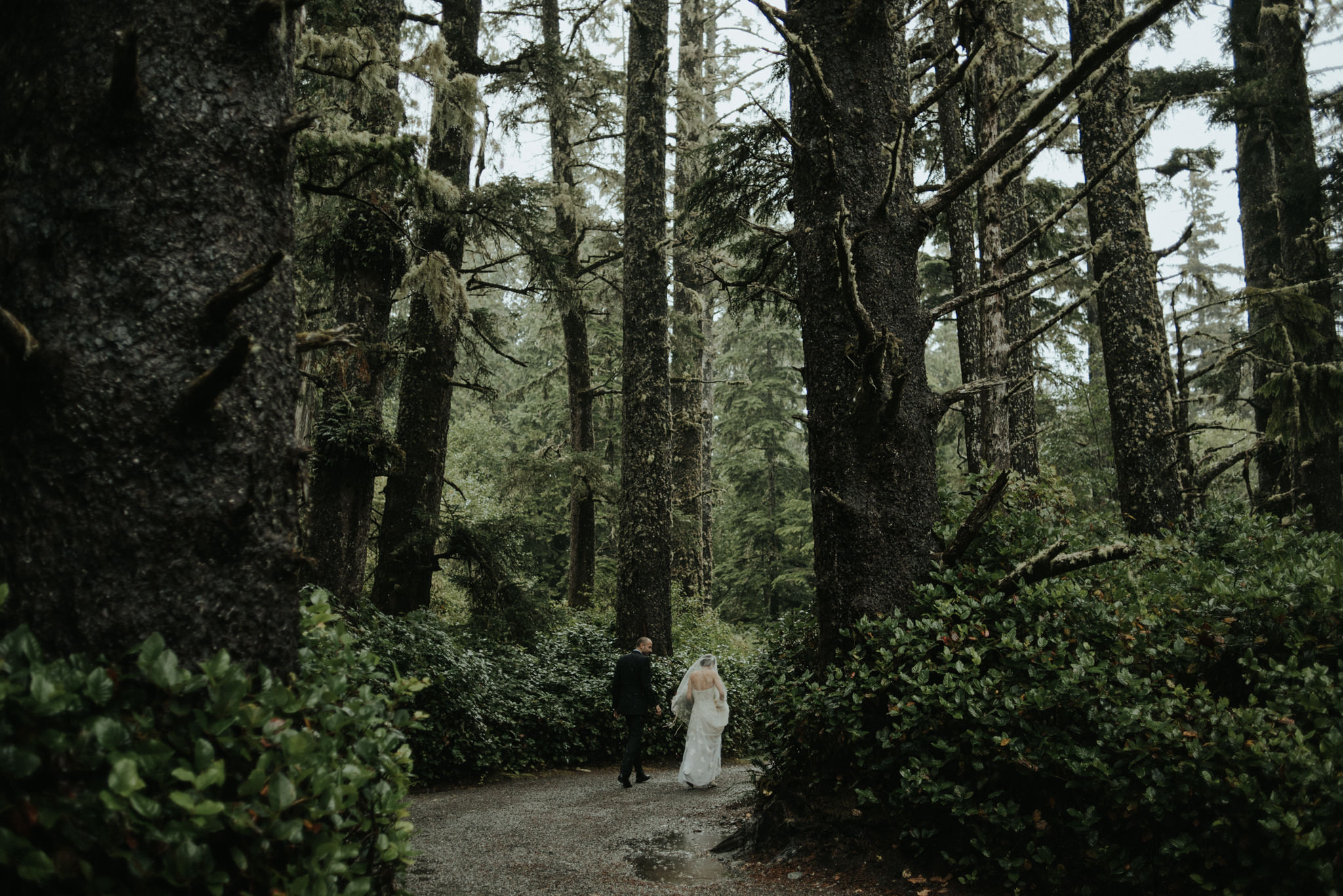 Intimate Tofino Elopement // Daring Wanderer: www.daringwanderer.com