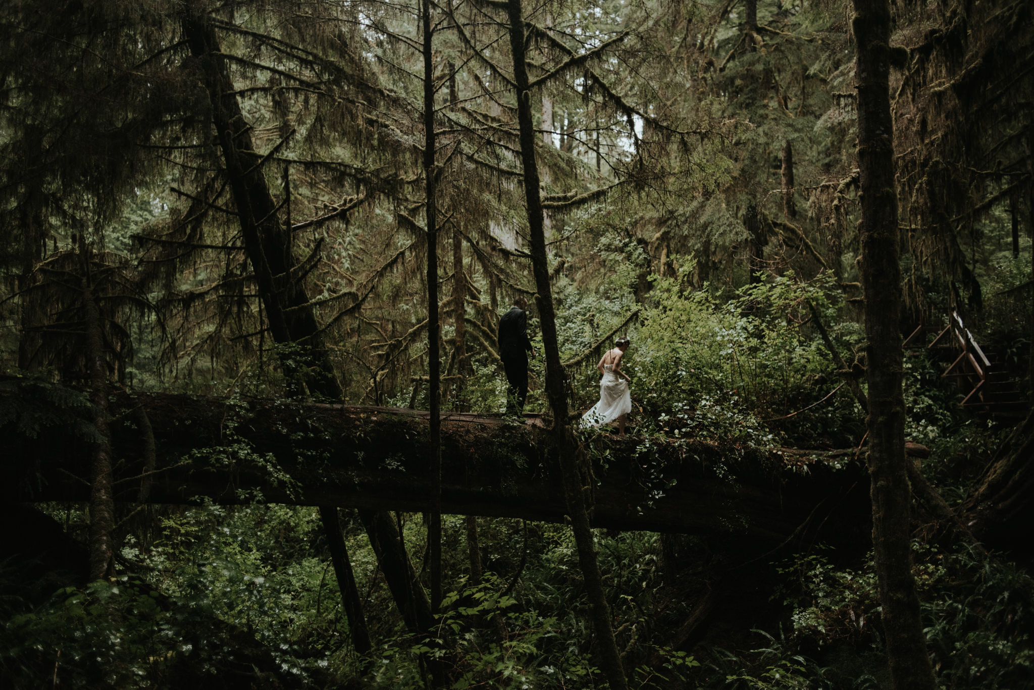 Intimate Tofino Elopement // Daring Wanderer: www.daringwanderer.com