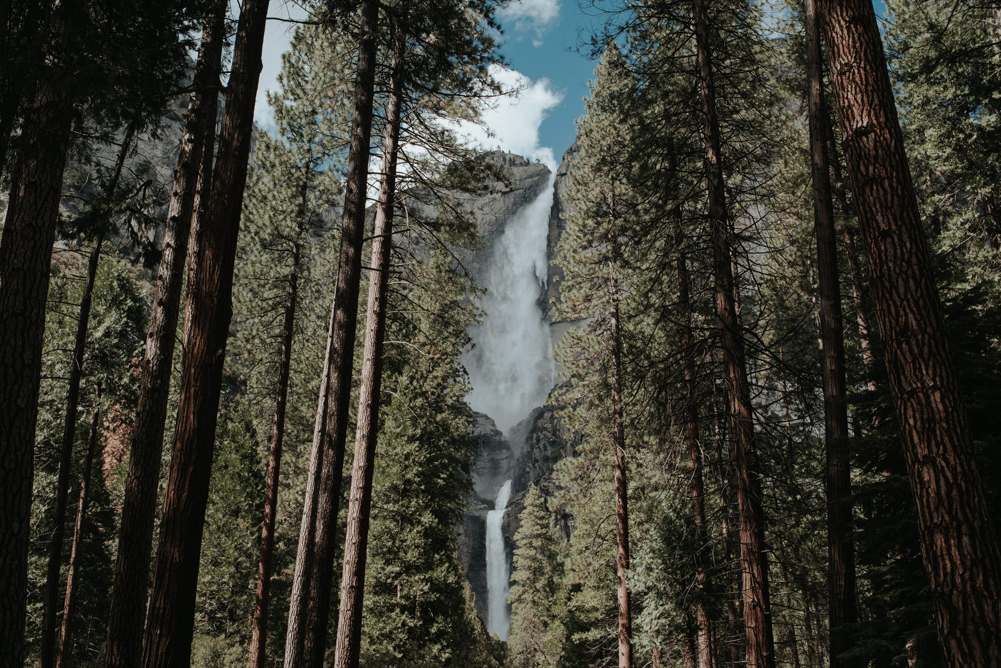 Exploring Yosemite in the spring // Daring Wanderer: www.daringwanderer.com