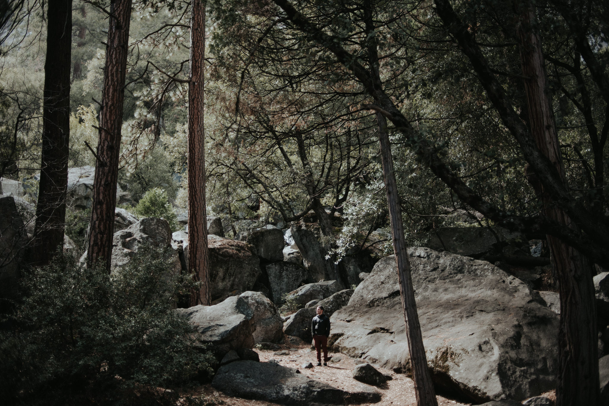 Exploring Yosemite in the spring // Daring Wanderer: www.daringwanderer.com