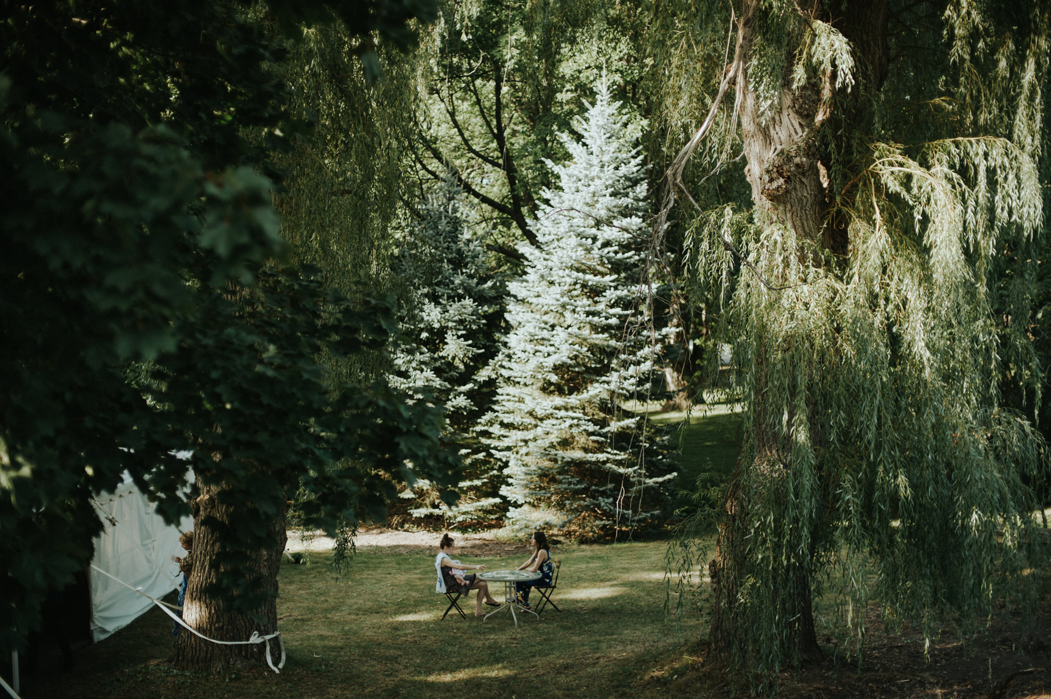 An Intimate Picton Wedding // Daring Wanderer: www.daringwanderer.com