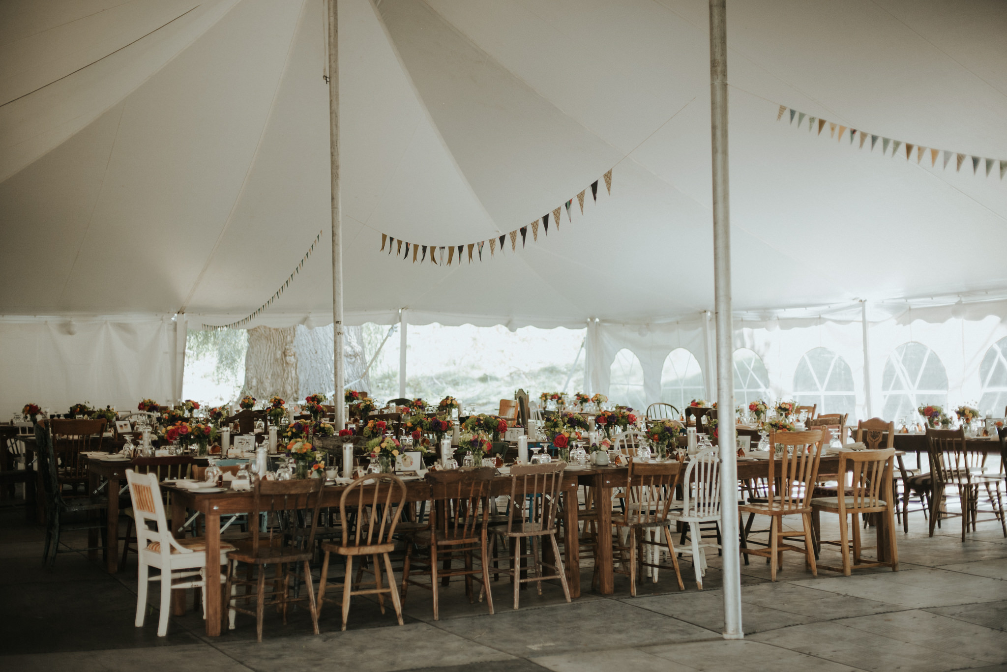 An Intimate Picton Wedding // Daring Wanderer: www.daringwanderer.com