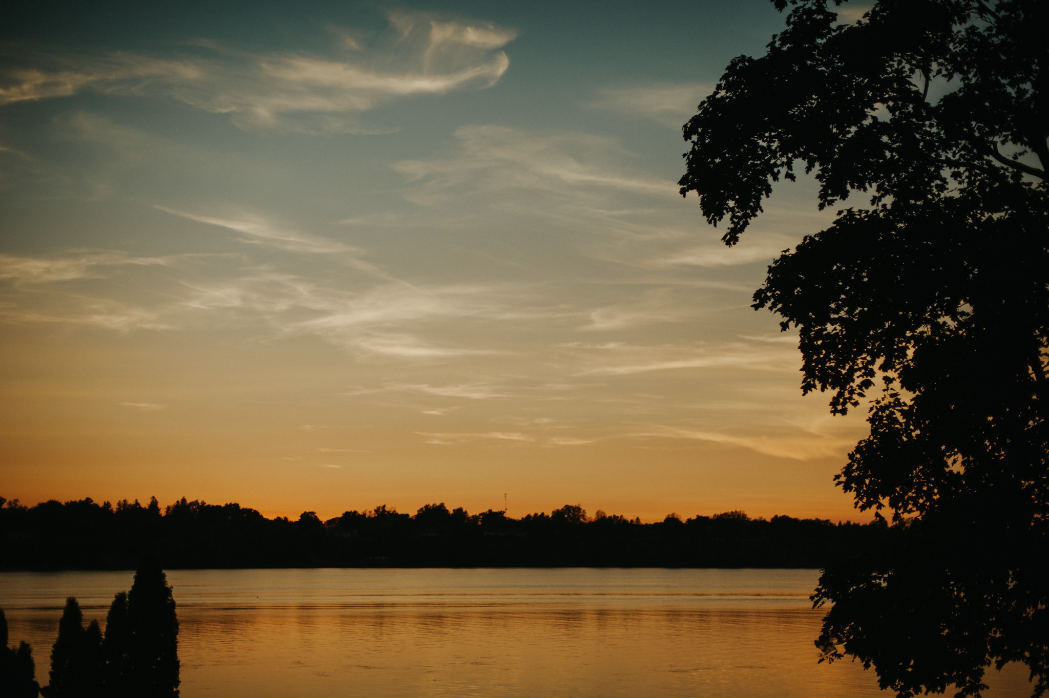 An Intimate Picton Wedding // Daring Wanderer: www.daringwanderer.com