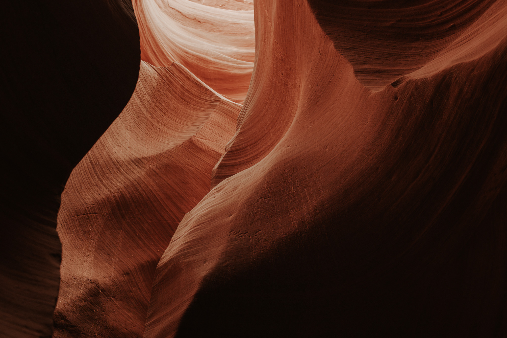 Lower Antelope Canyon in Arizona // Daring Wanderer: www.daringwanderer.com