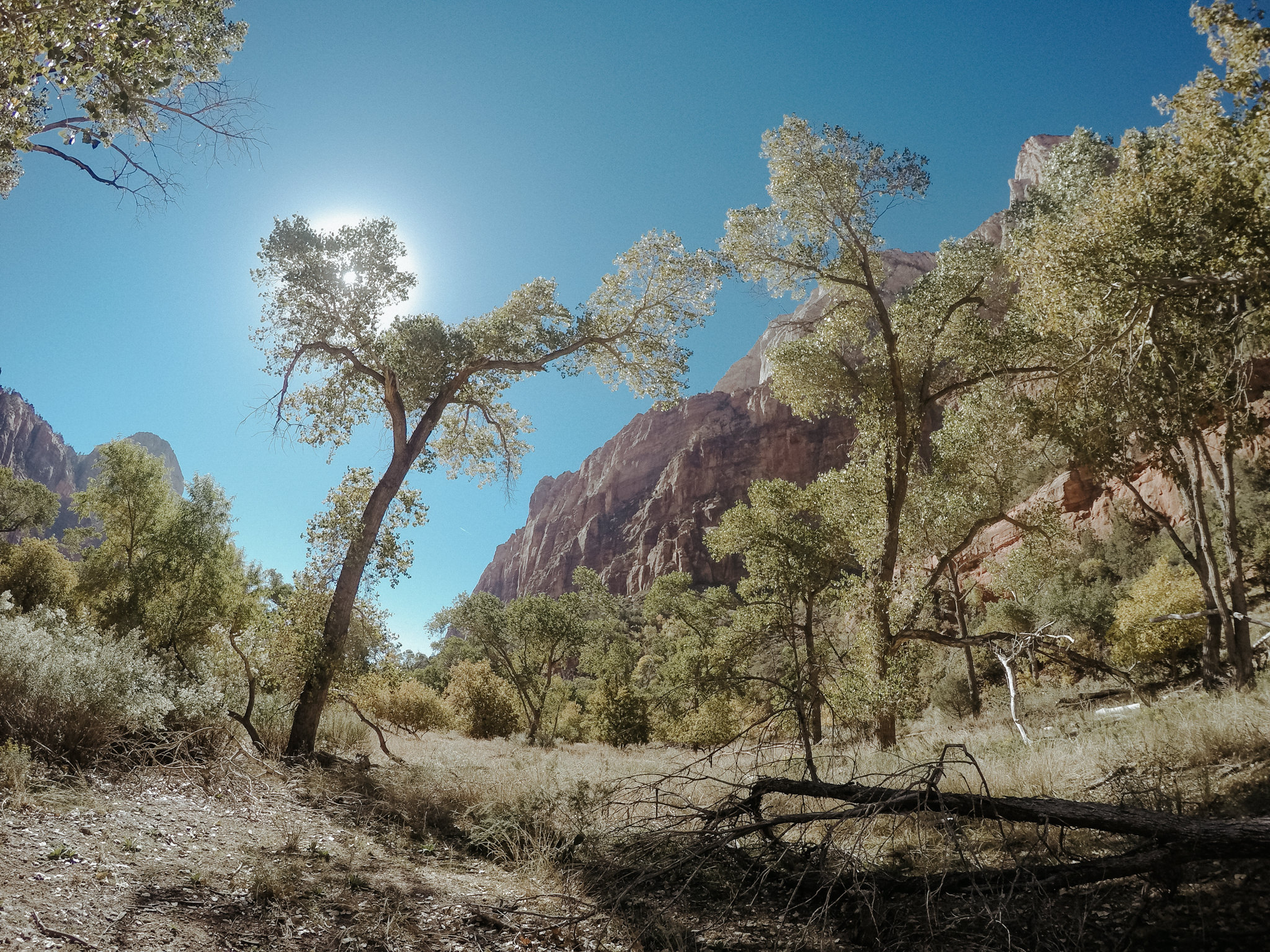 Hiking Angel's Landing, Zion National Park // Daring Wanderer: www.daringwanderer.com