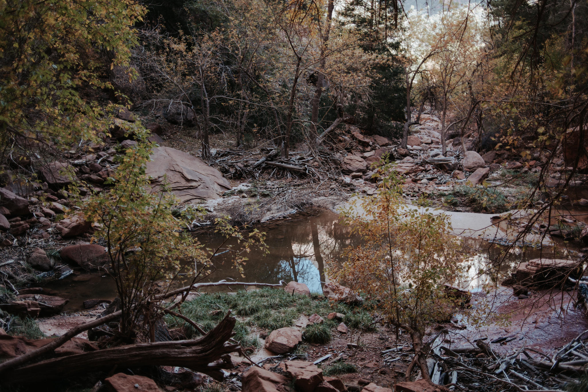 Hiking Angel's Landing, Zion National Park // Daring Wanderer: www.daringwanderer.com