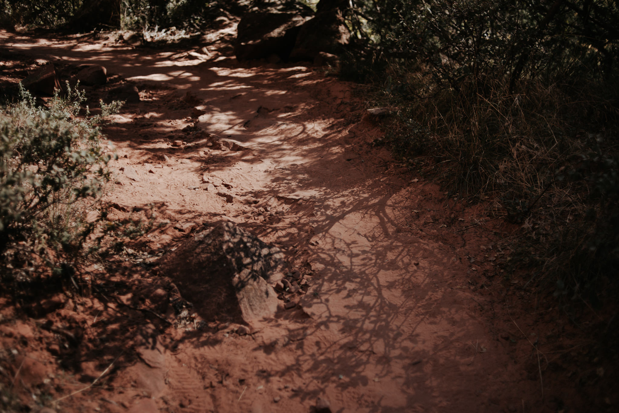 Hiking Angel's Landing, Zion National Park // Daring Wanderer: www.daringwanderer.com