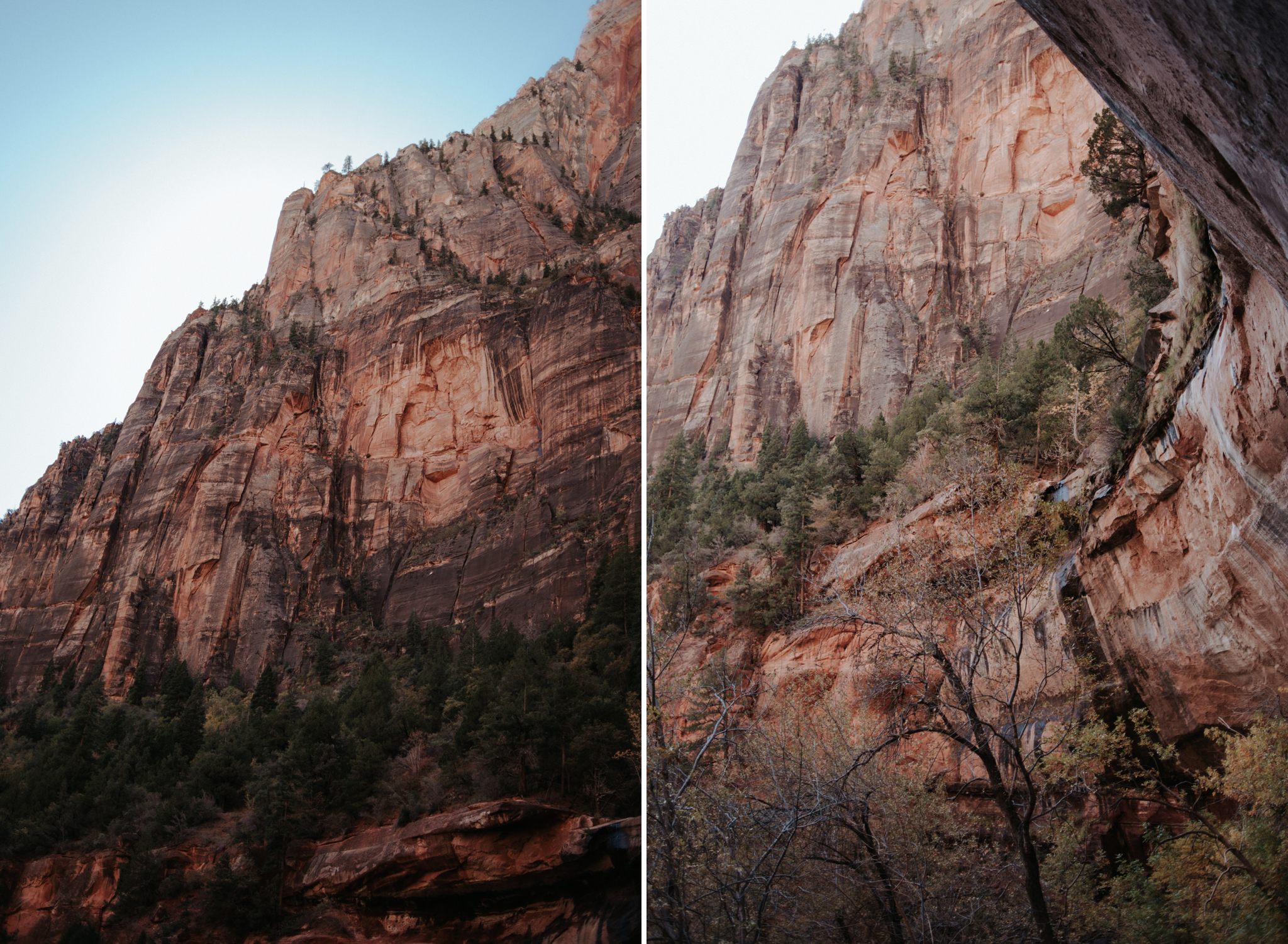 Hiking Angel's Landing, Zion National Park // Daring Wanderer: www.daringwanderer.com