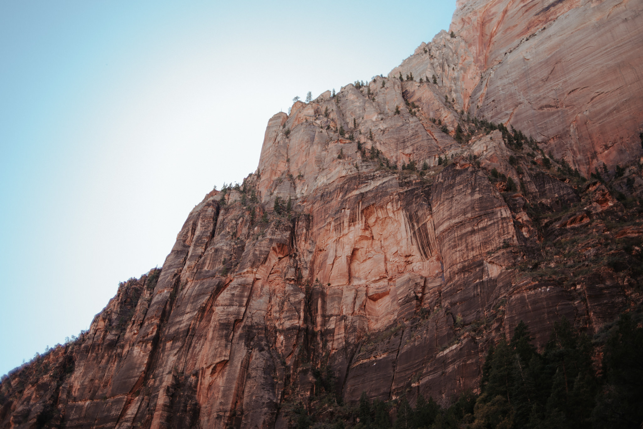 Hiking Angel's Landing, Zion National Park // Daring Wanderer: www.daringwanderer.com