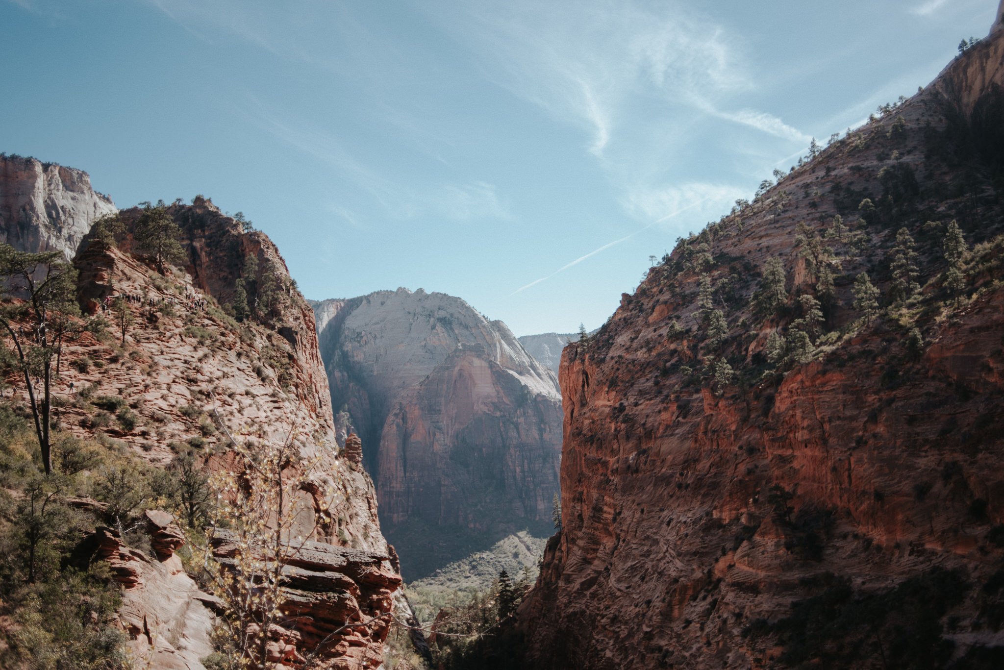 Hiking Angel's Landing, Zion National Park // Daring Wanderer: www.daringwanderer.com