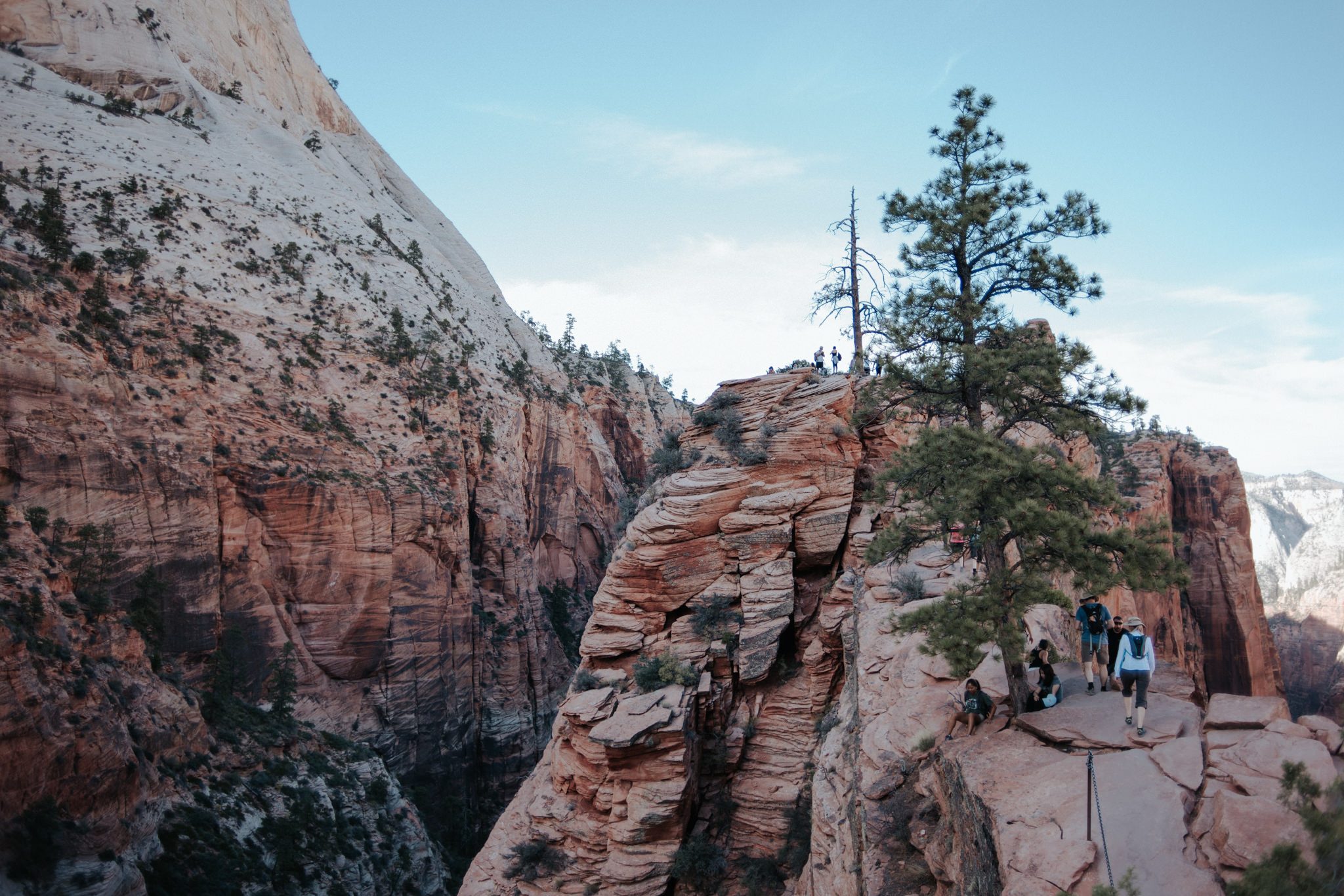 Hiking Angel's Landing, Zion National Park // Daring Wanderer: www.daringwanderer.com