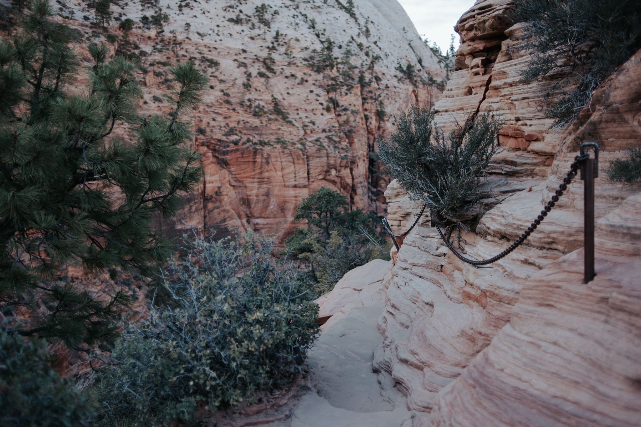 Hiking Angel's Landing, Zion National Park // Daring Wanderer: www.daringwanderer.com