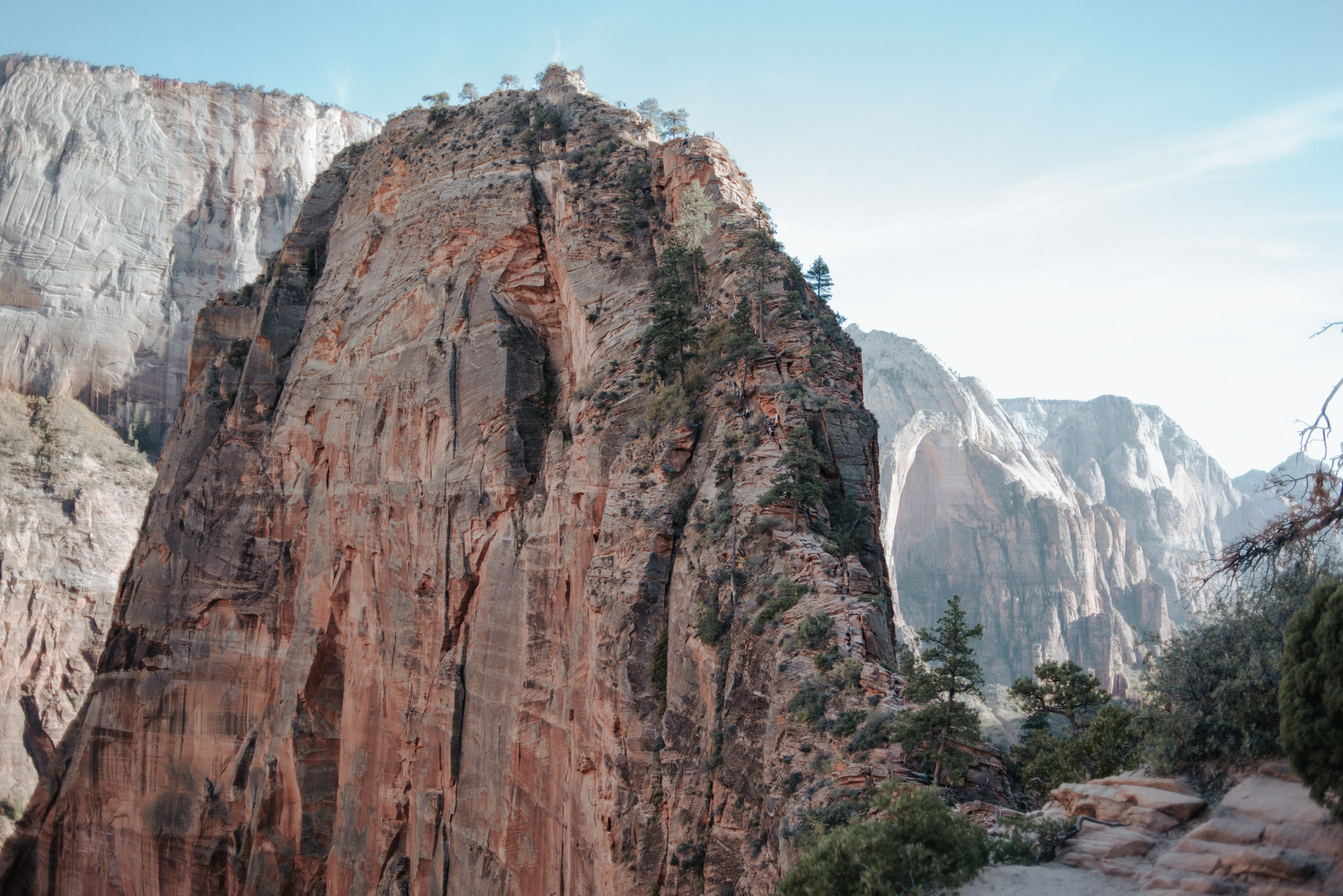 Hiking Angel's Landing, Zion National Park // Daring Wanderer: www.daringwanderer.com