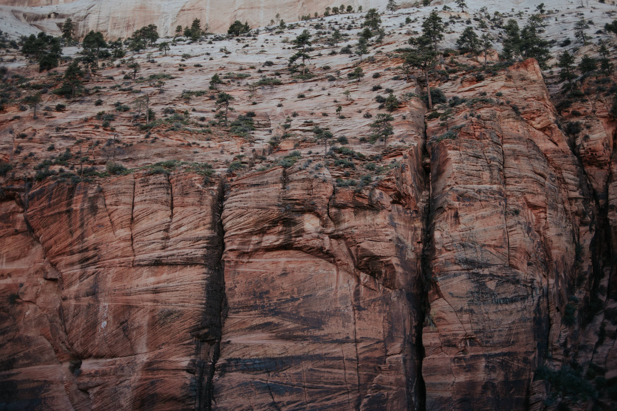 Hiking Angel's Landing, Zion National Park // Daring Wanderer: www.daringwanderer.com