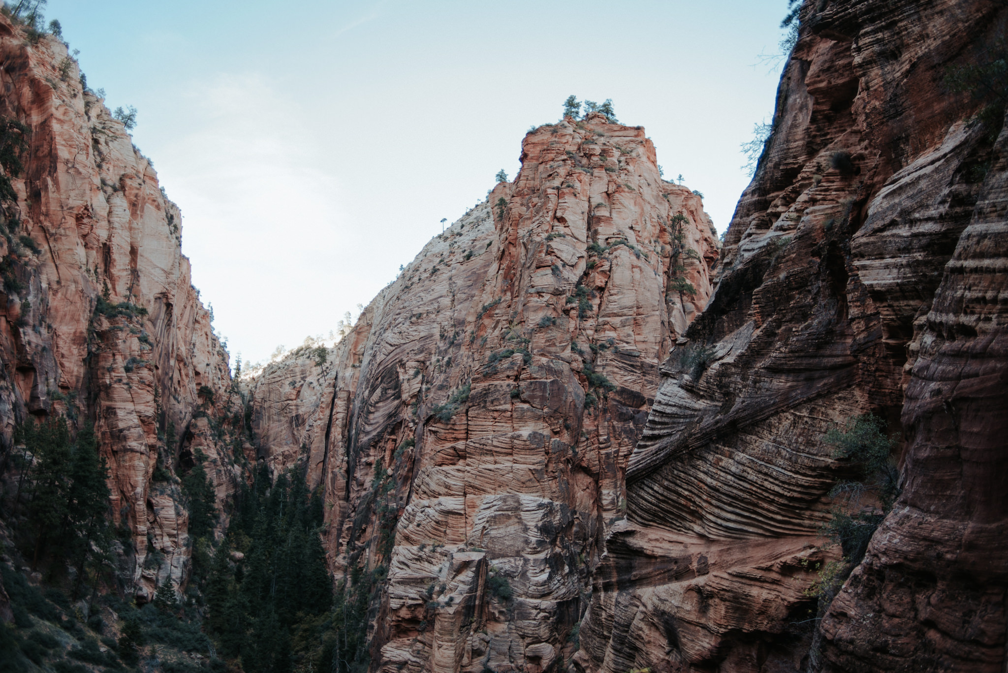 Hiking Angel's Landing, Zion National Park // Daring Wanderer: www.daringwanderer.com