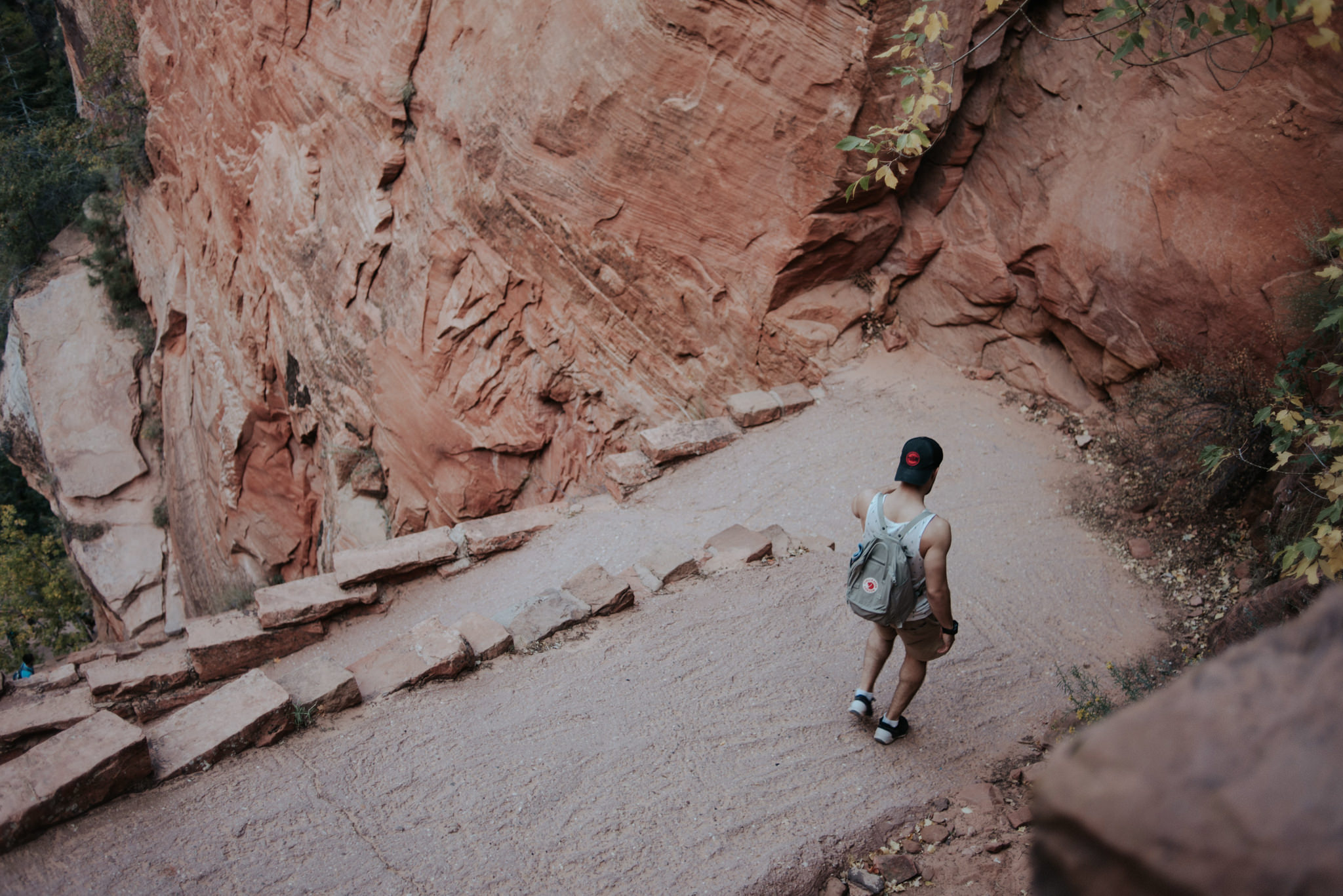 Hiking Angel's Landing, Zion National Park // Daring Wanderer: www.daringwanderer.com