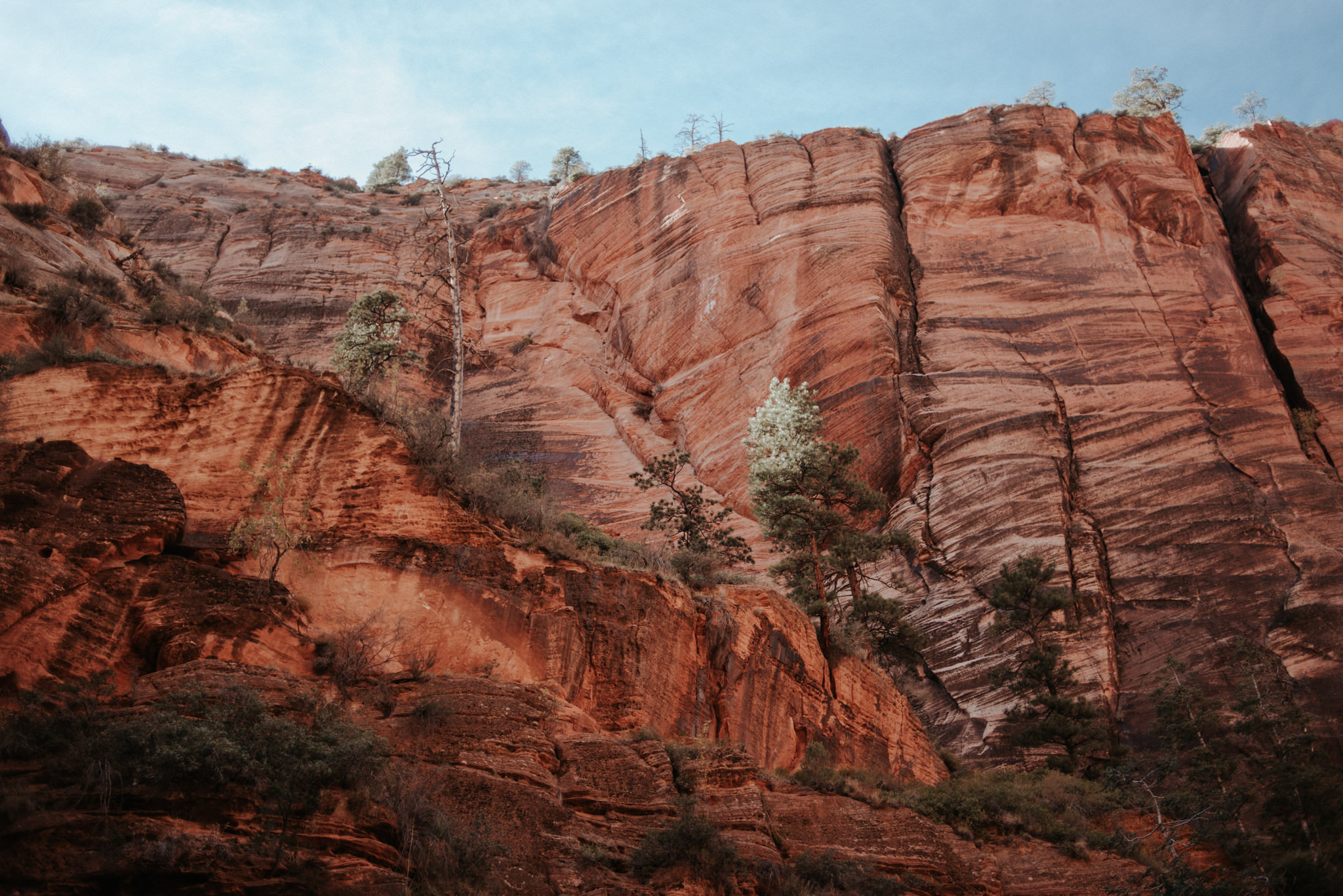 Hiking Angel's Landing, Zion National Park // Daring Wanderer: www.daringwanderer.com