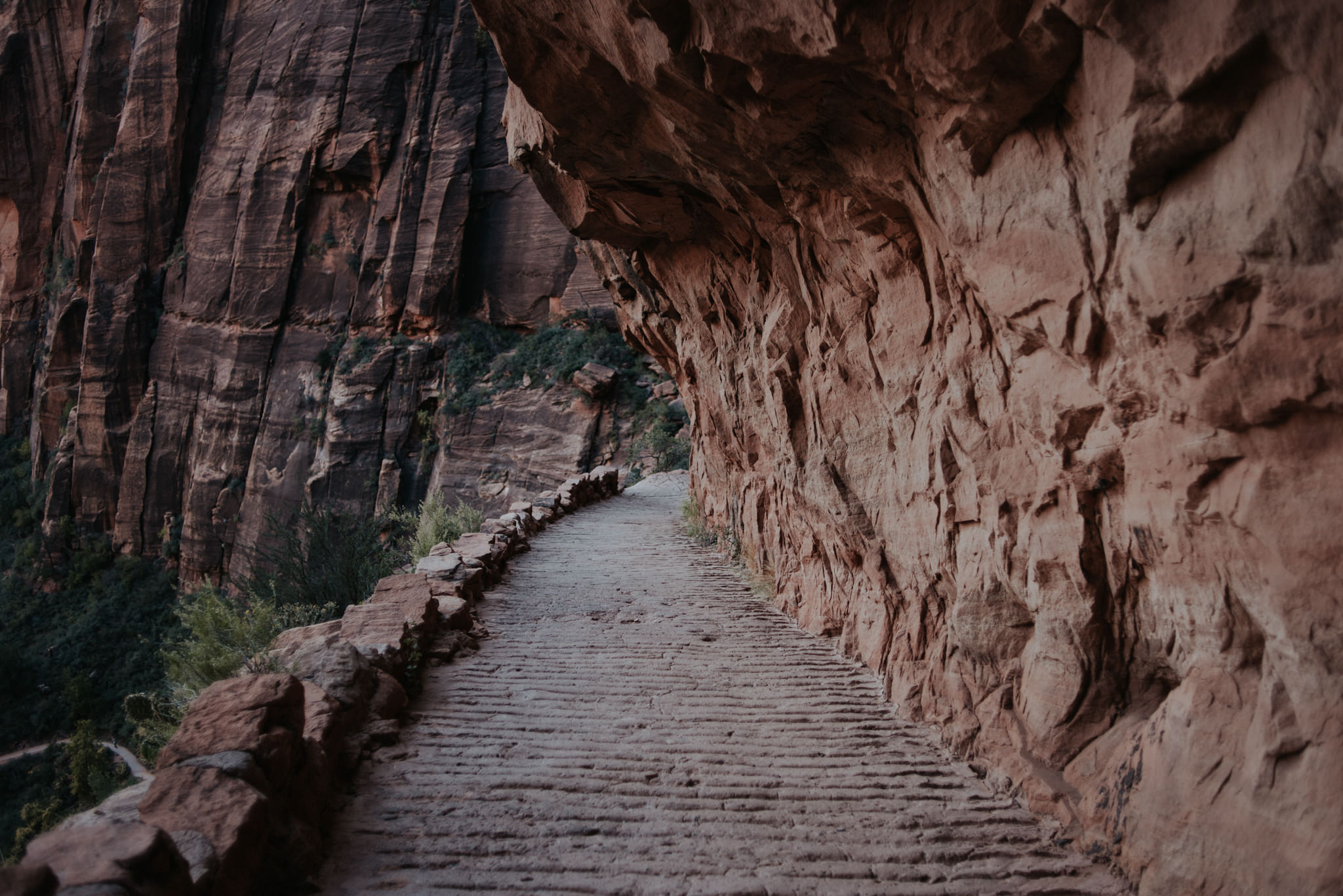 Hiking Angel's Landing, Zion National Park // Daring Wanderer: www.daringwanderer.com