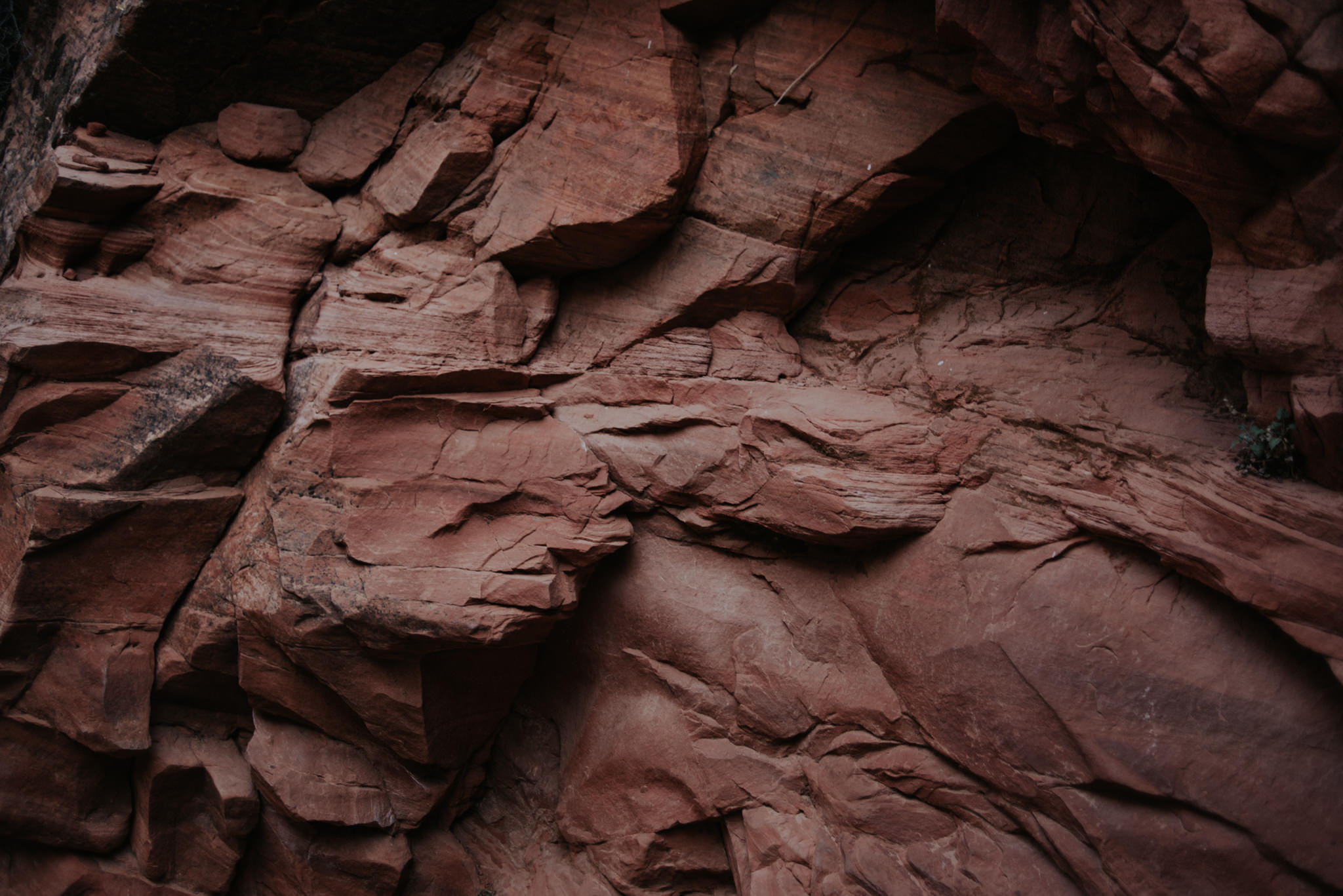 Hiking Angel's Landing, Zion National Park // Daring Wanderer: www.daringwanderer.com