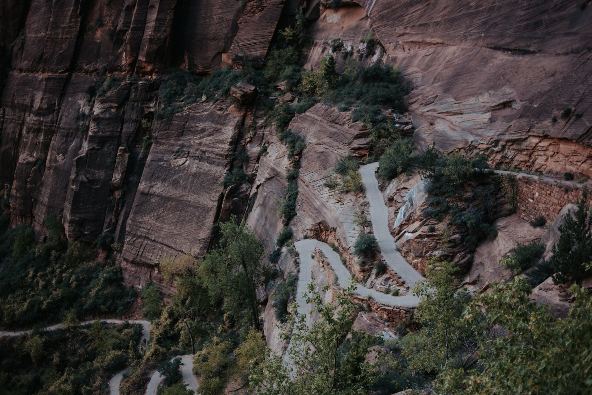 Hiking Angel's Landing, Zion National Park // Daring Wanderer: www.daringwanderer.com