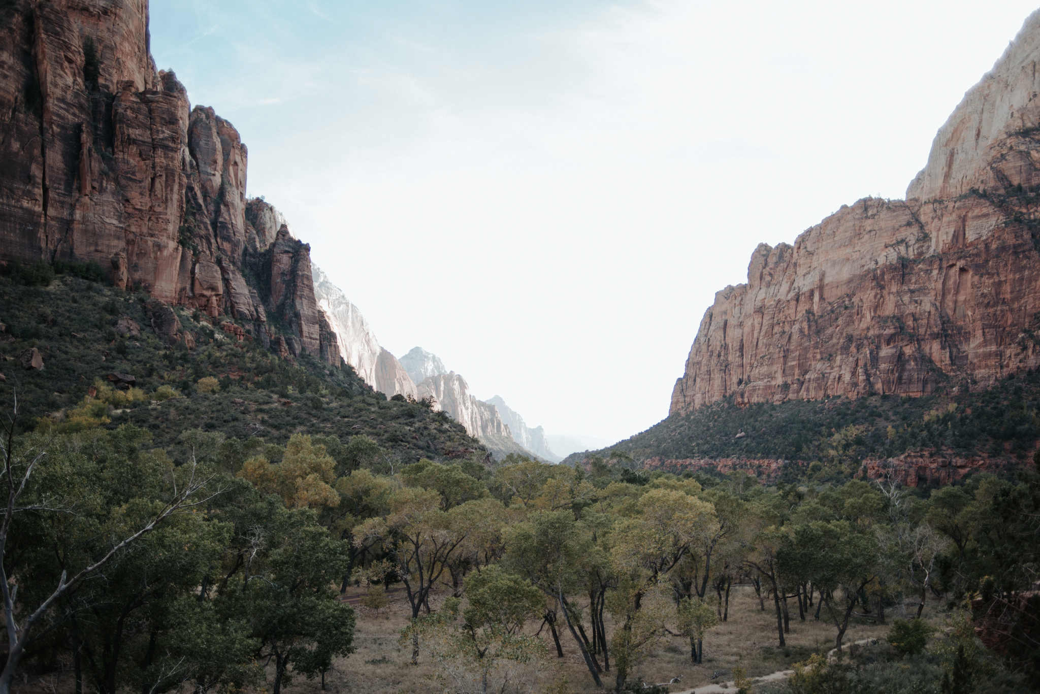 Hiking Angel's Landing, Zion National Park // Daring Wanderer: www.daringwanderer.com