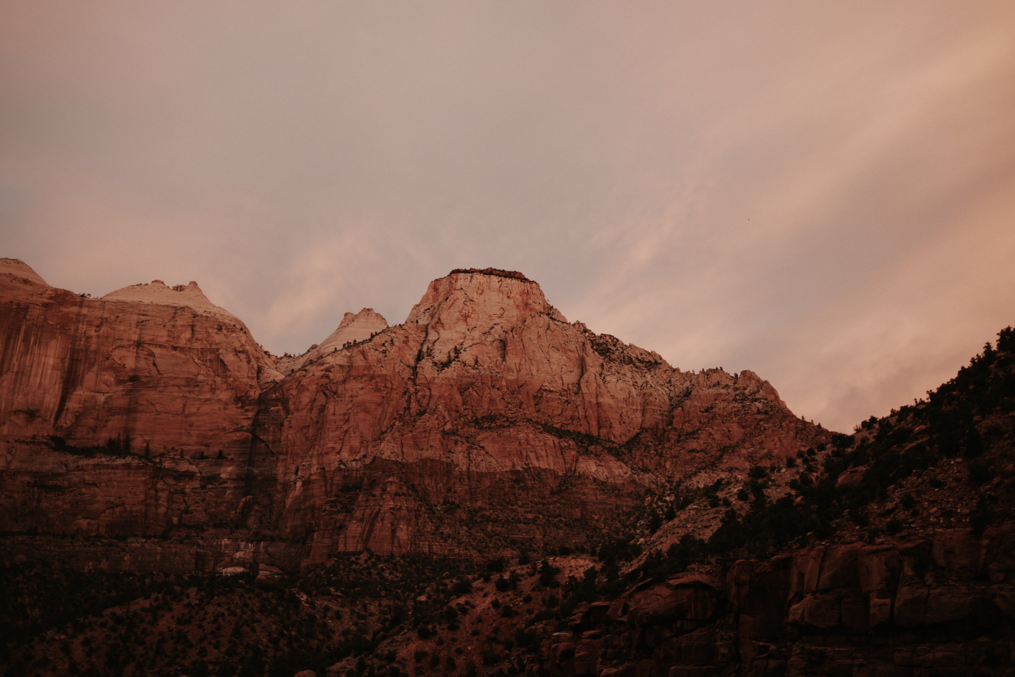 Hiking Angel's Landing in Zion National Park // Daring Wanderer: www.daringwanderer.com