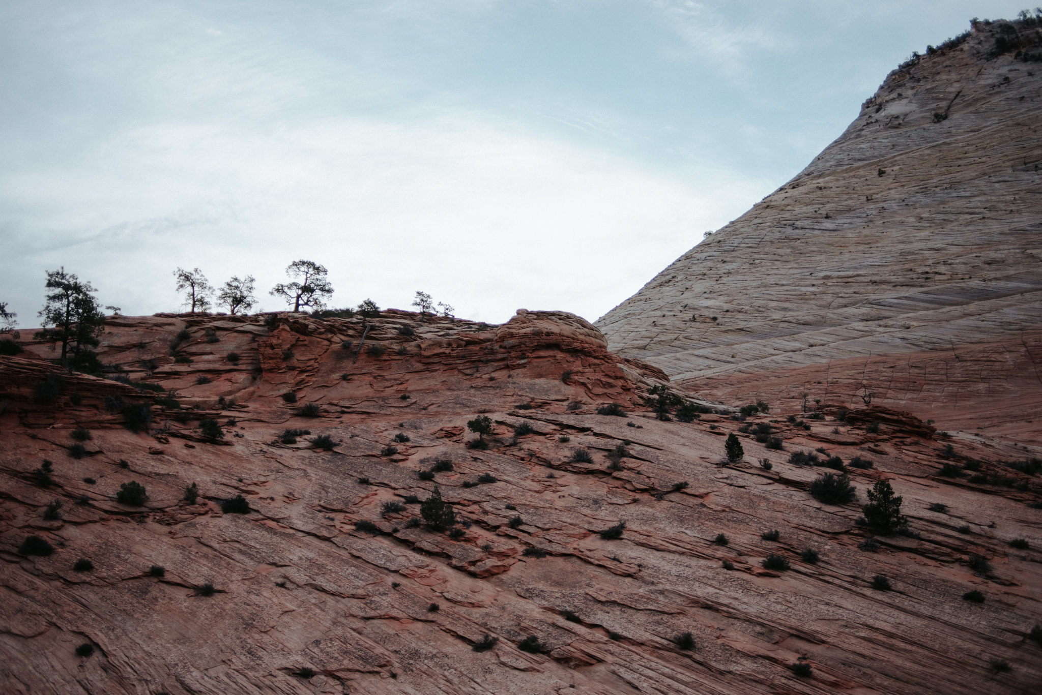 Hiking Angel's Landing in Zion National Park // Daring Wanderer: www.daringwanderer.com