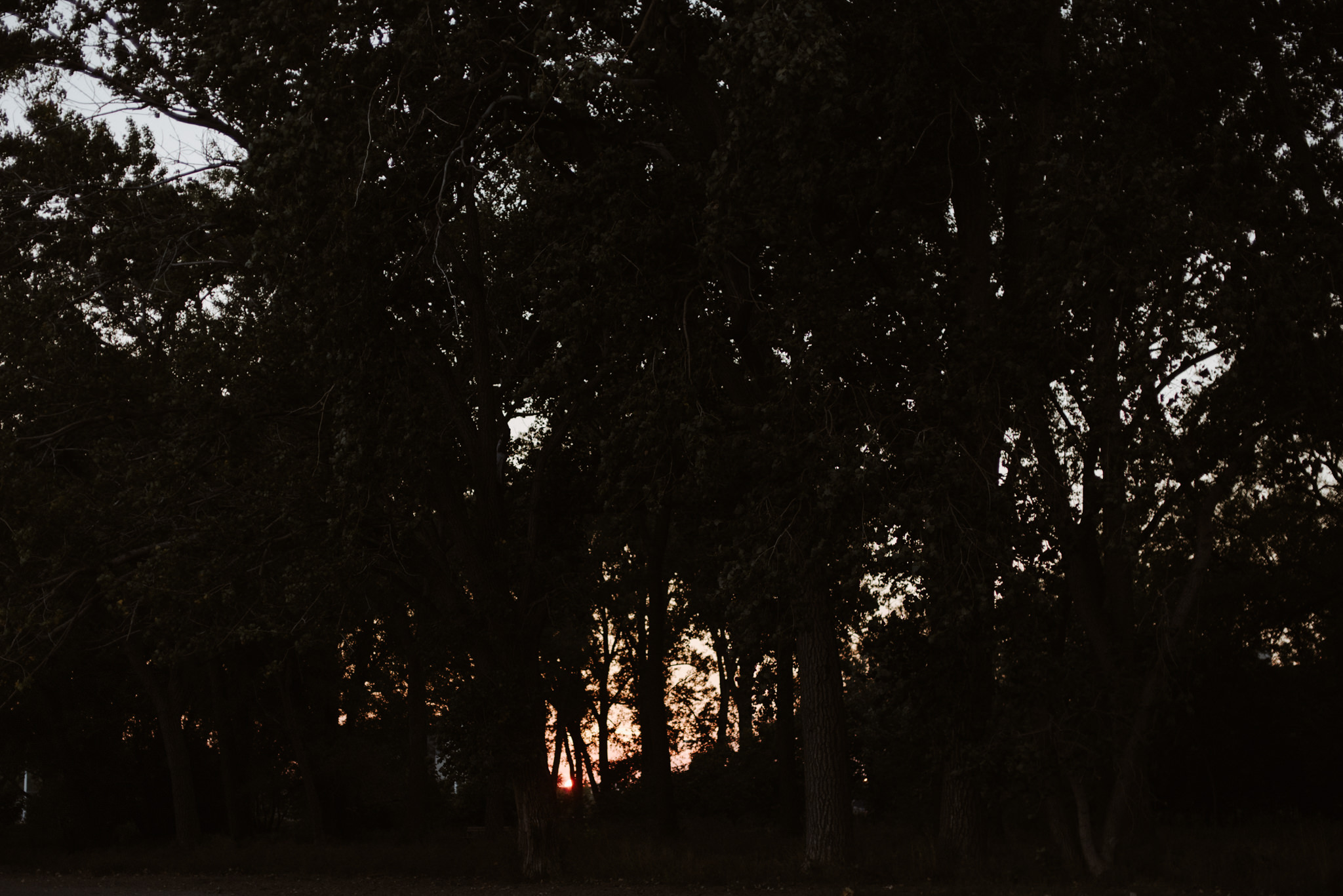 Dreamy Cherry Beach Portraits with some lovers at sunset // Toronto wedding photographer Daring Wanderer 