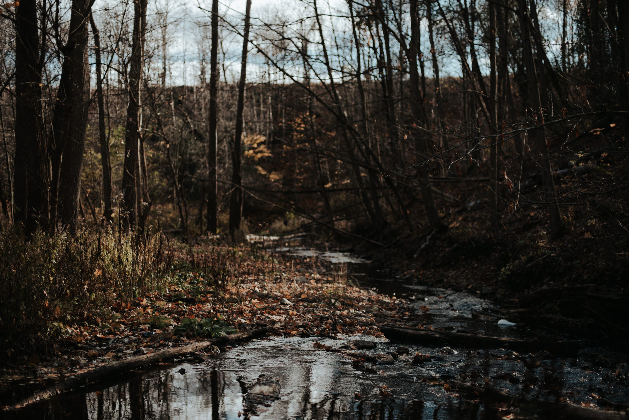 Chasing waterfalls and sunsets, Tews Falls Engagement // Toronto wedding photographer Daring Wanderer 