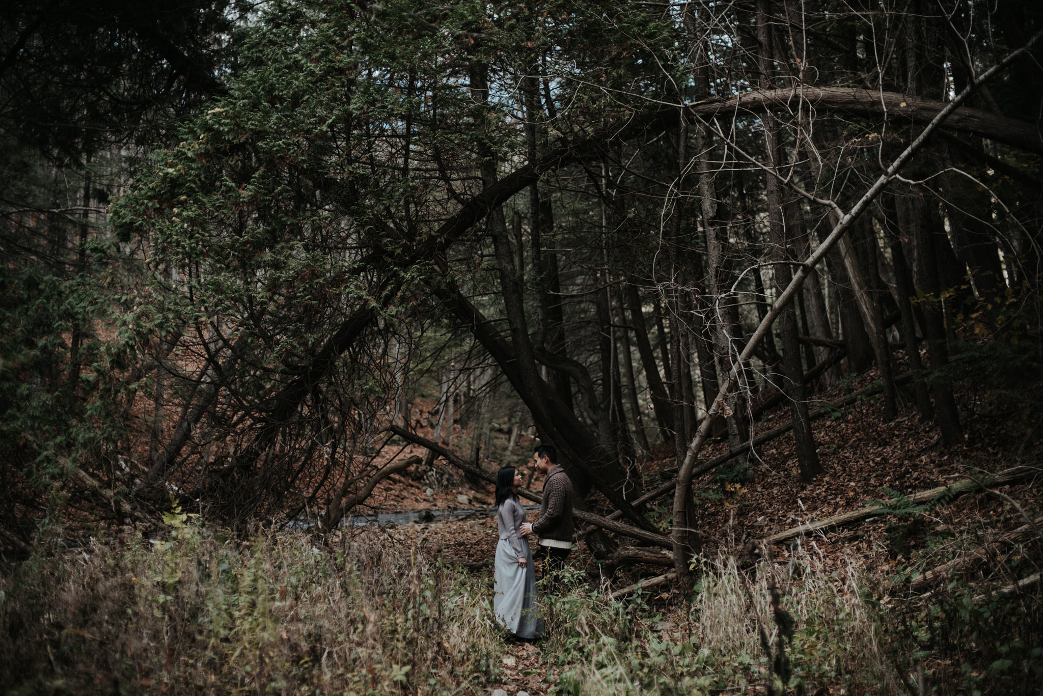 Chasing waterfalls and sunsets, Tews Falls Engagement // Toronto wedding photographer Daring Wanderer 