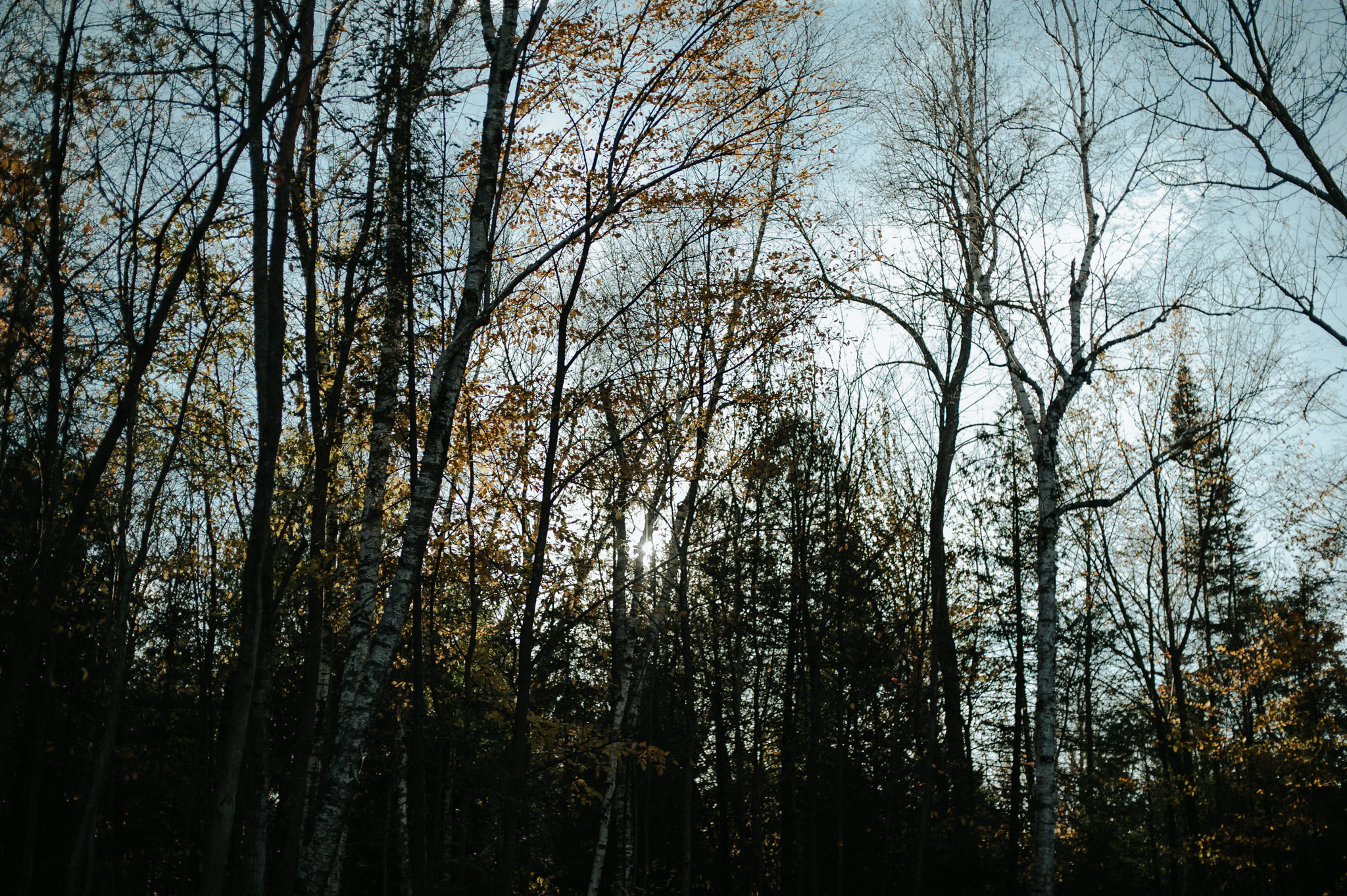 Intimate Cottage Wedding at Serenity Cottage in Owen Sound // Toronto wedding photographer Daring Wanderer 