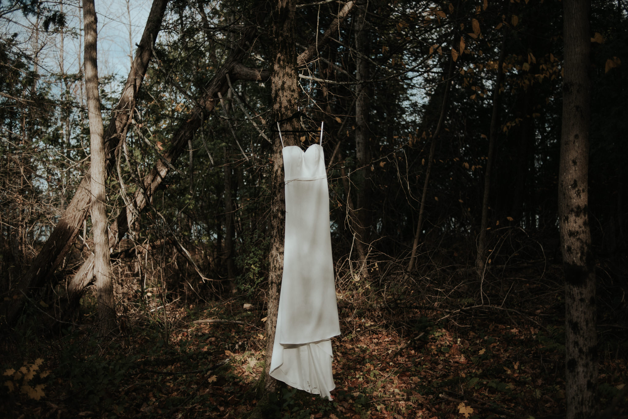 Intimate Cottage Wedding at Serenity Cottage in Owen Sound // Toronto wedding photographer Daring Wanderer 