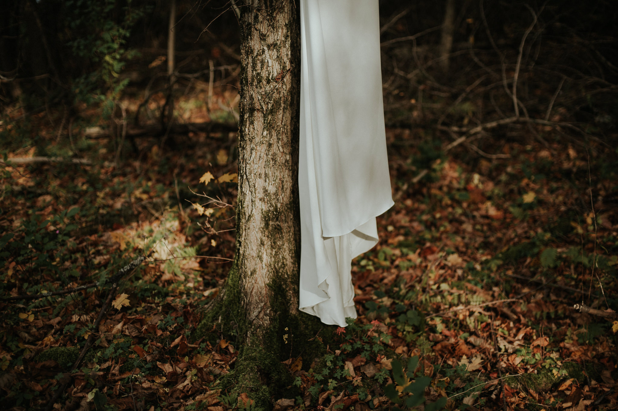 Intimate Cottage Wedding at Serenity Cottage in Owen Sound // Toronto wedding photographer Daring Wanderer 