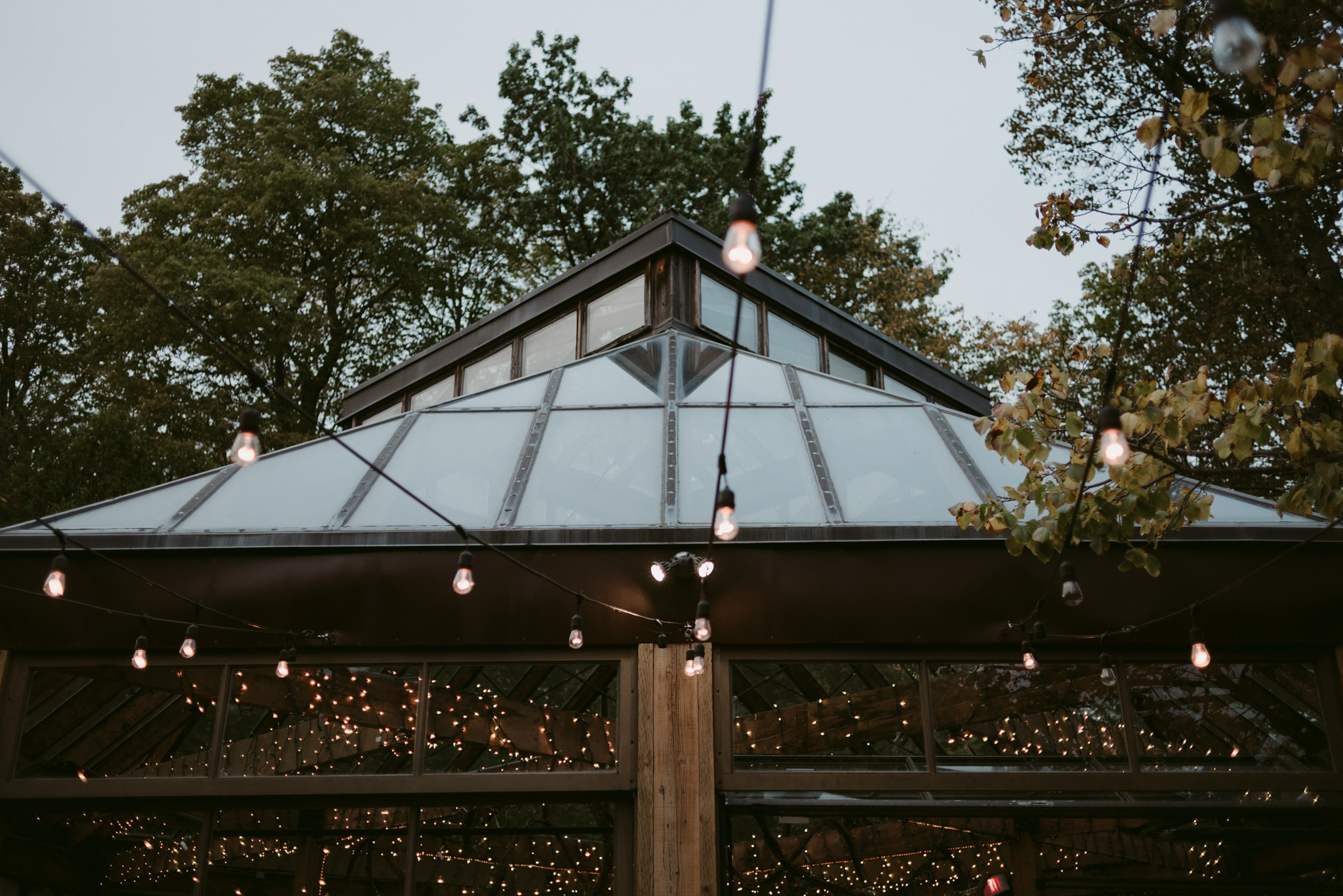 String lights and glass building